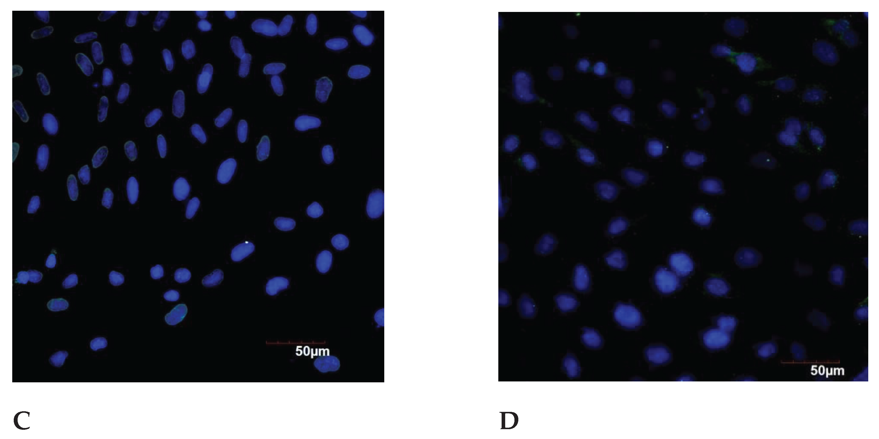 Preprints 103395 g004b