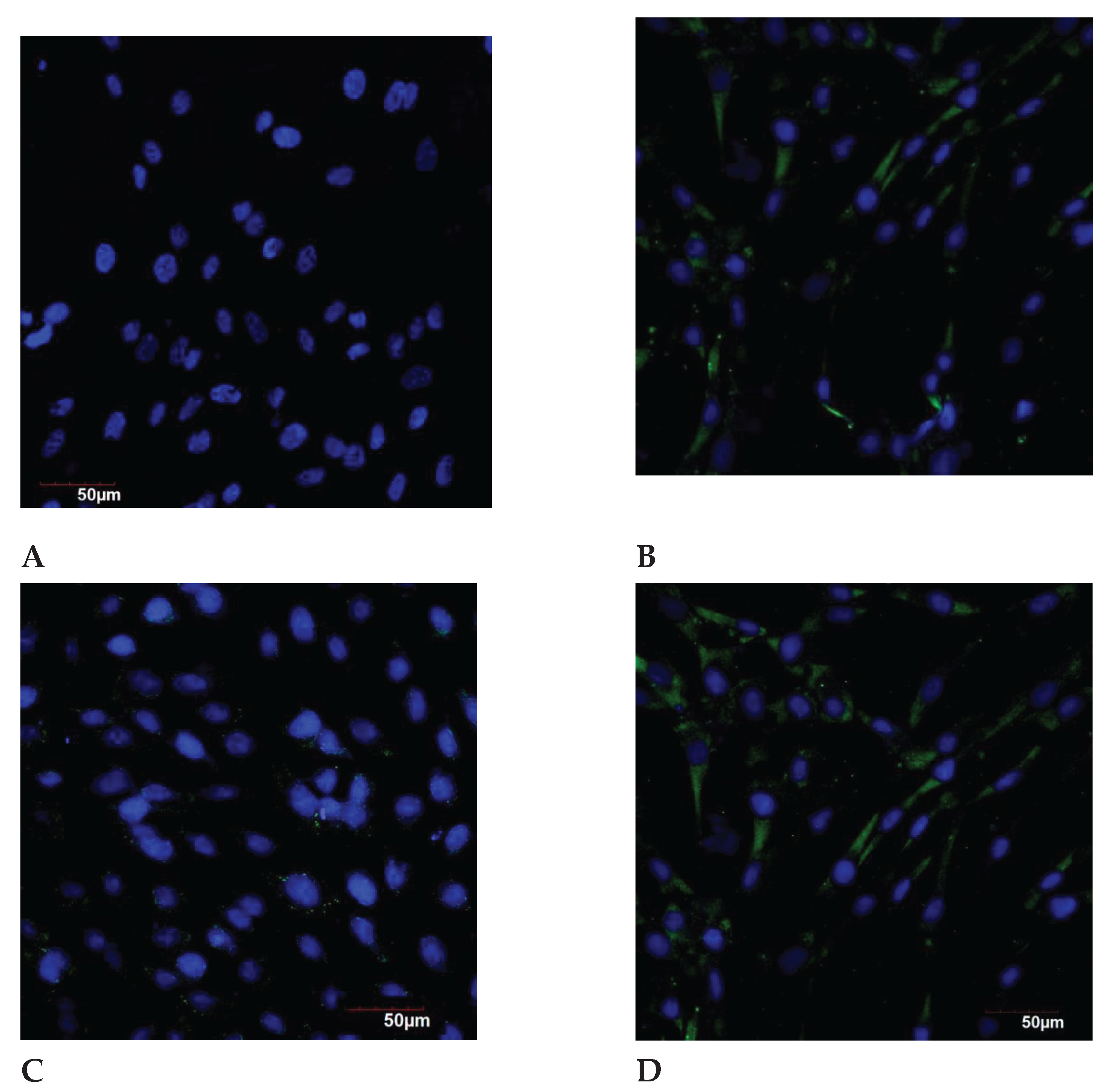 Preprints 103395 g009