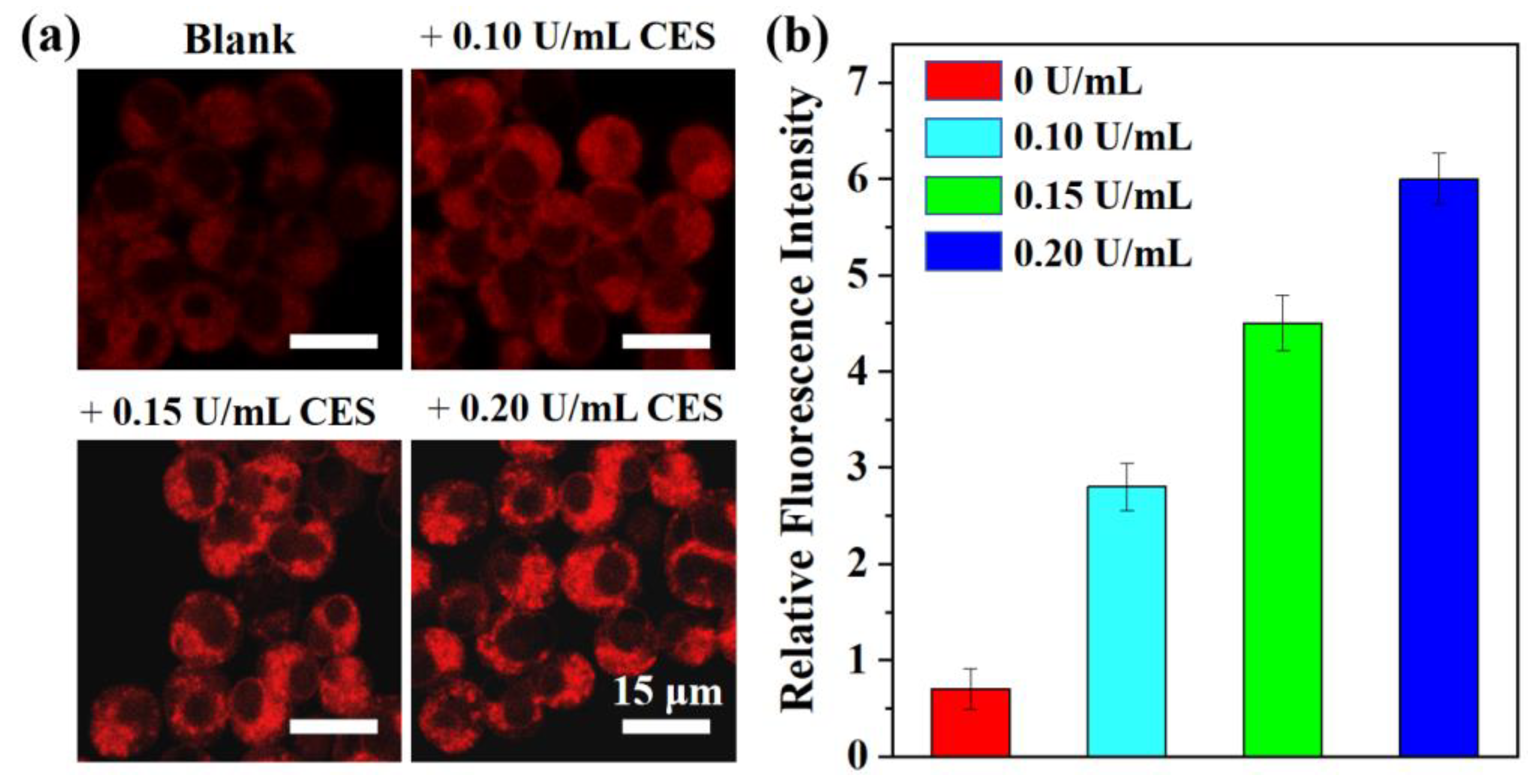 Preprints 109627 g005