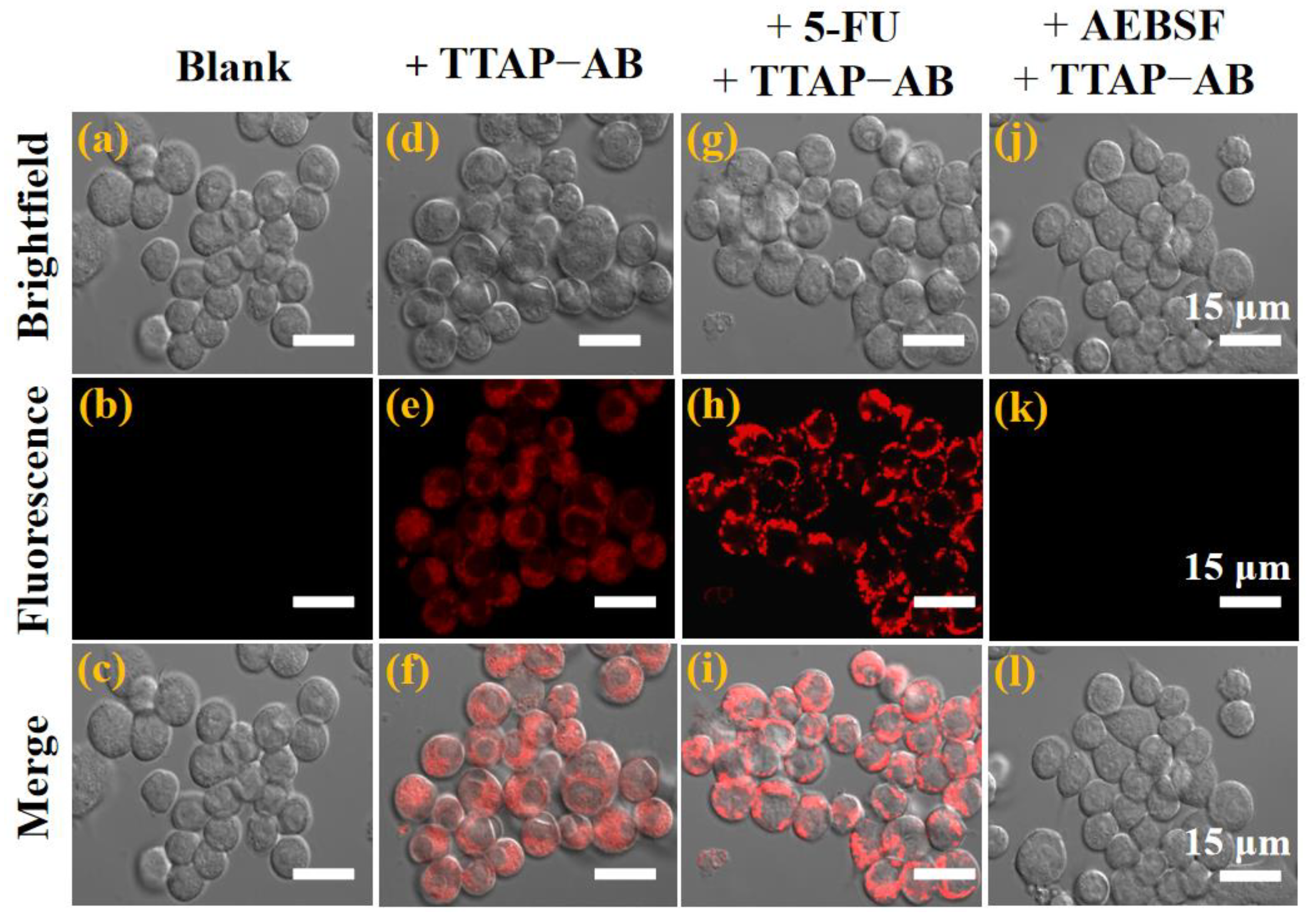 Preprints 109627 g006