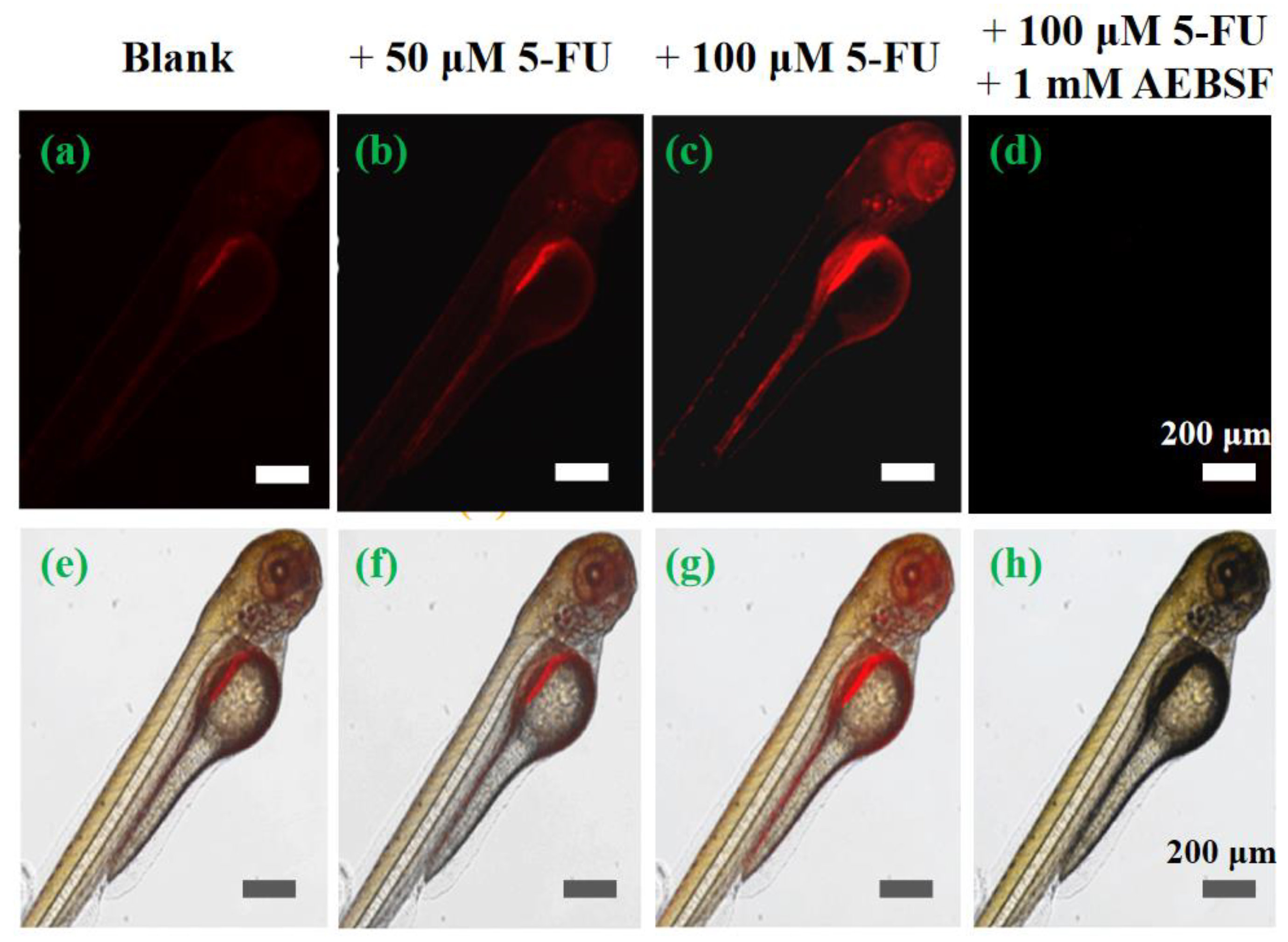 Preprints 109627 g007