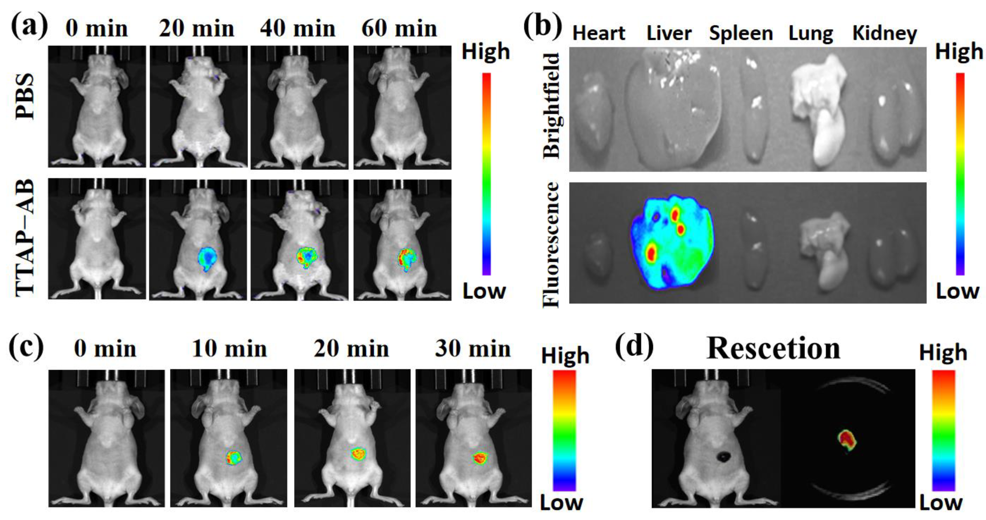 Preprints 109627 g008