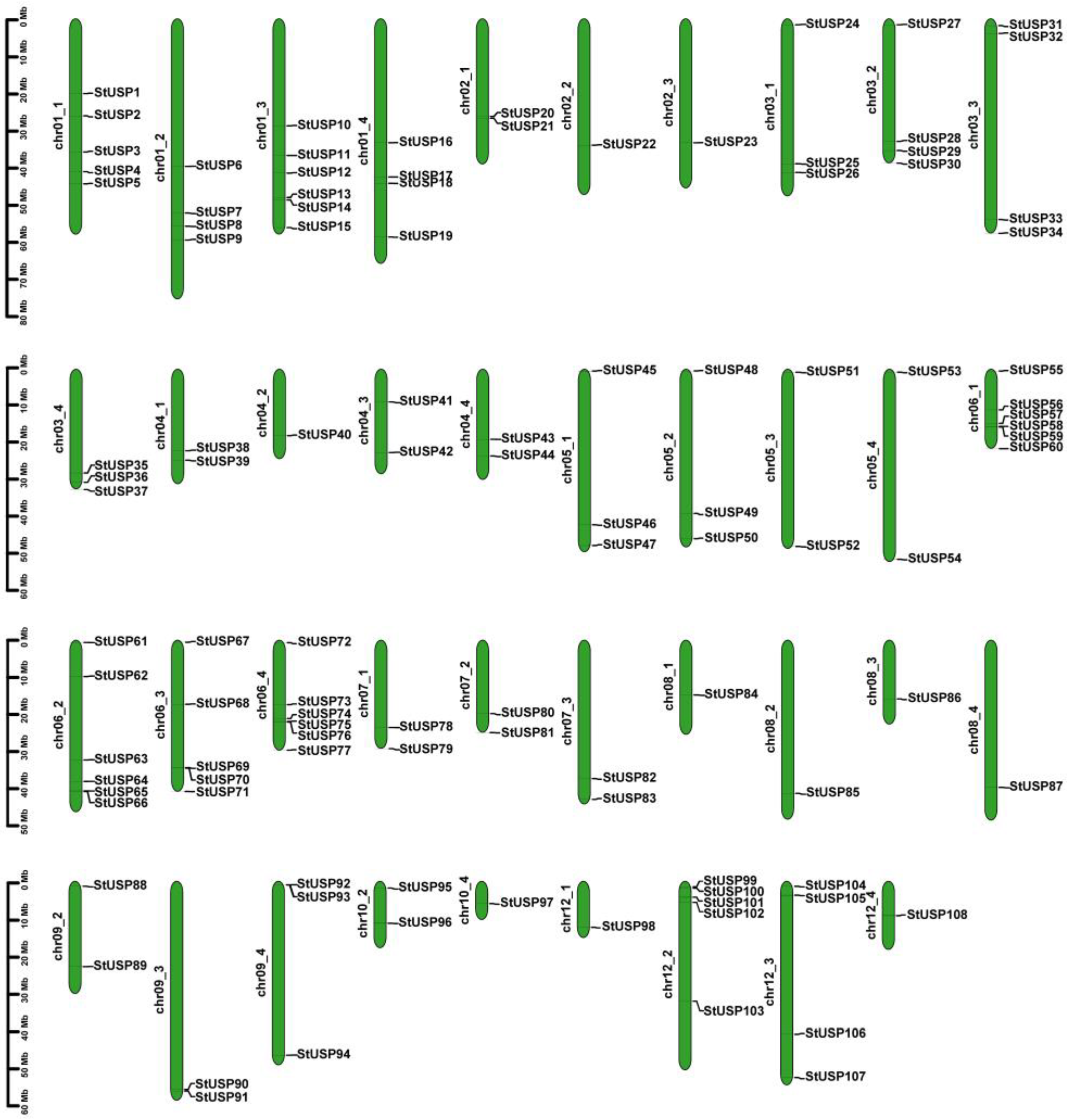 Preprints 93759 g001