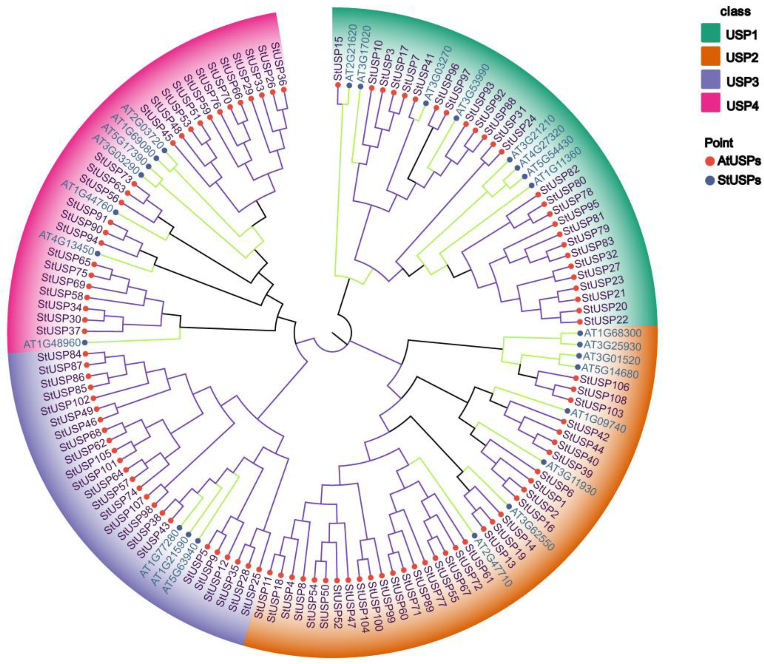 Preprints 93759 g003