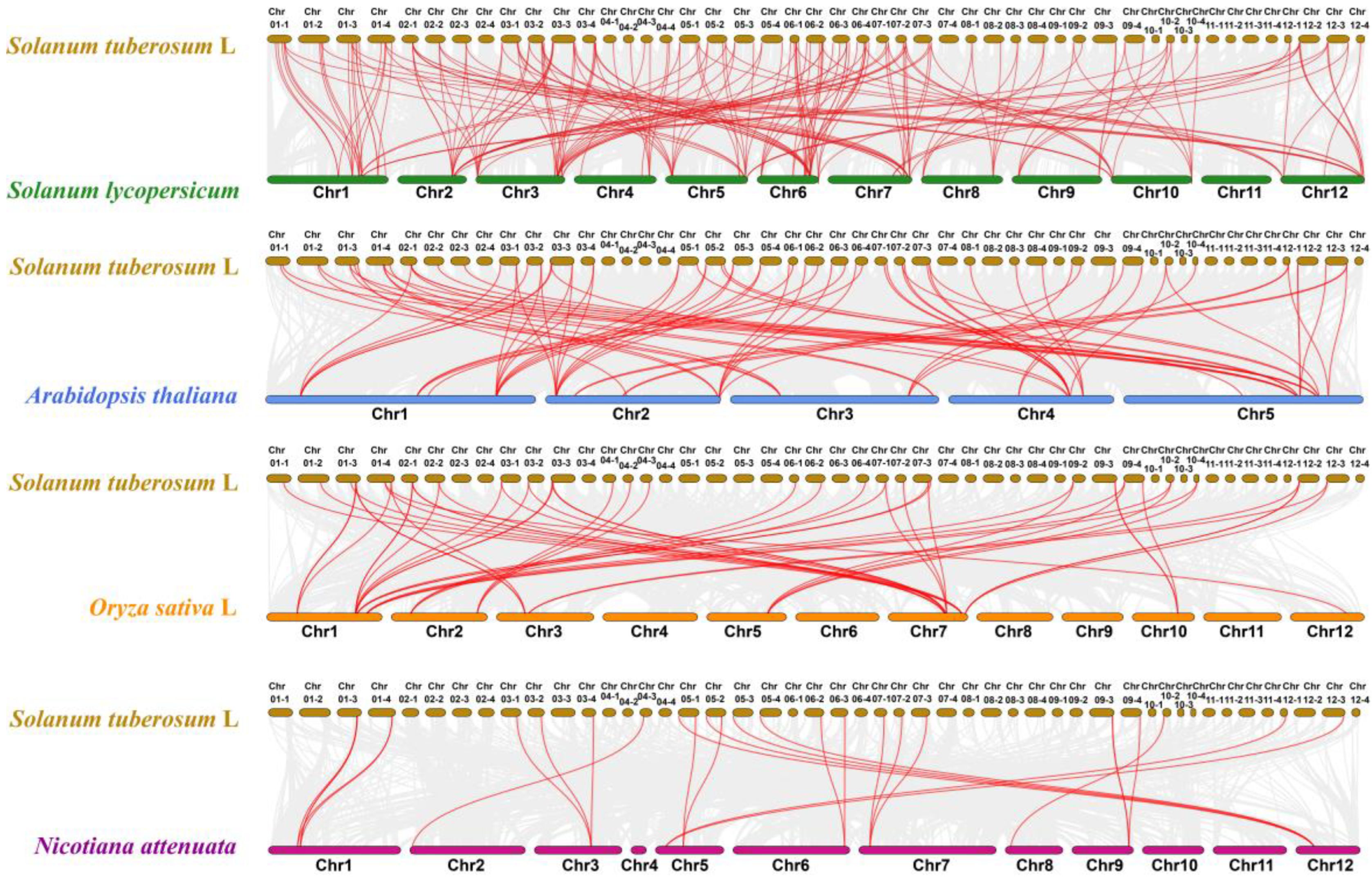 Preprints 93759 g006