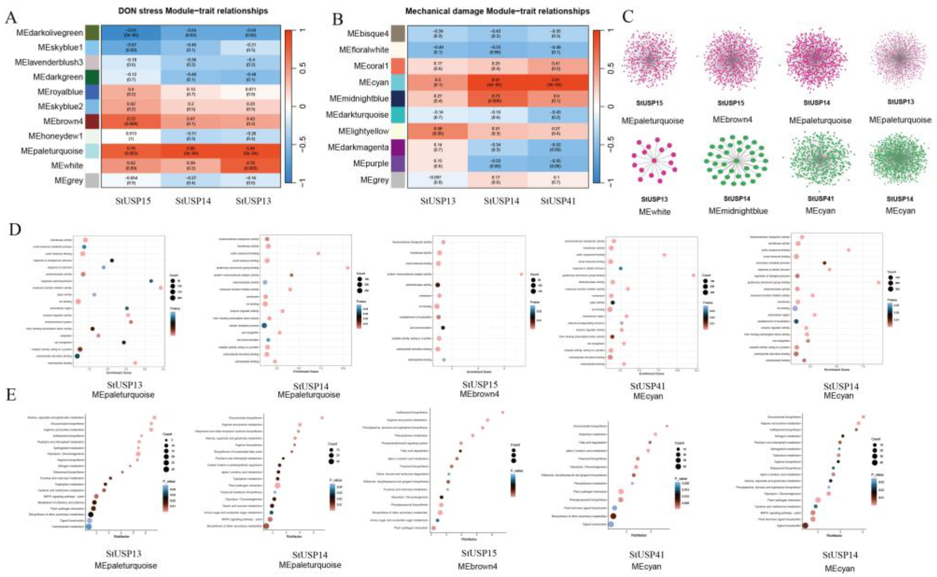 Preprints 93759 g009