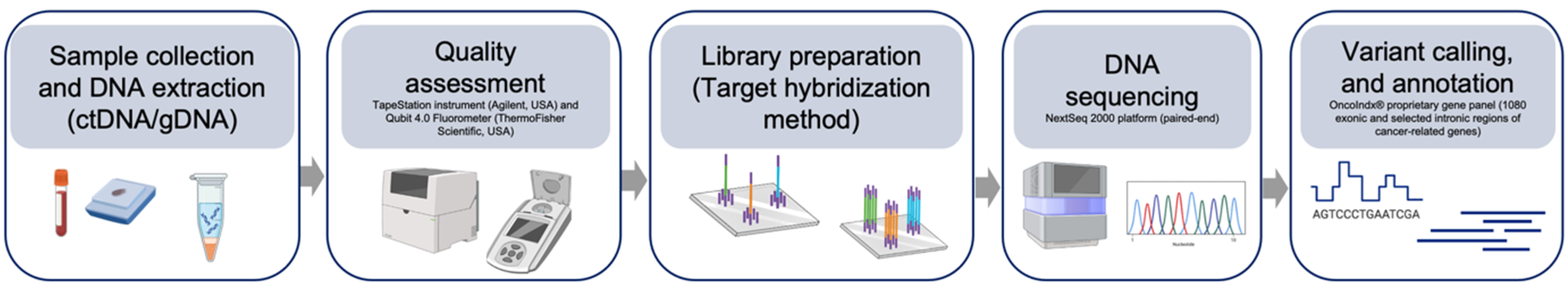 Preprints 114067 g001