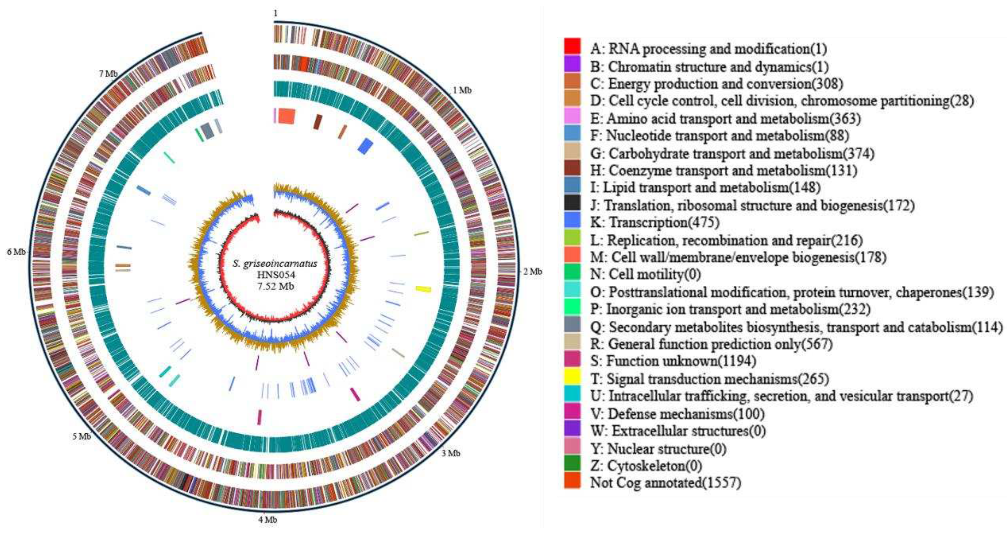 Preprints 96895 g001