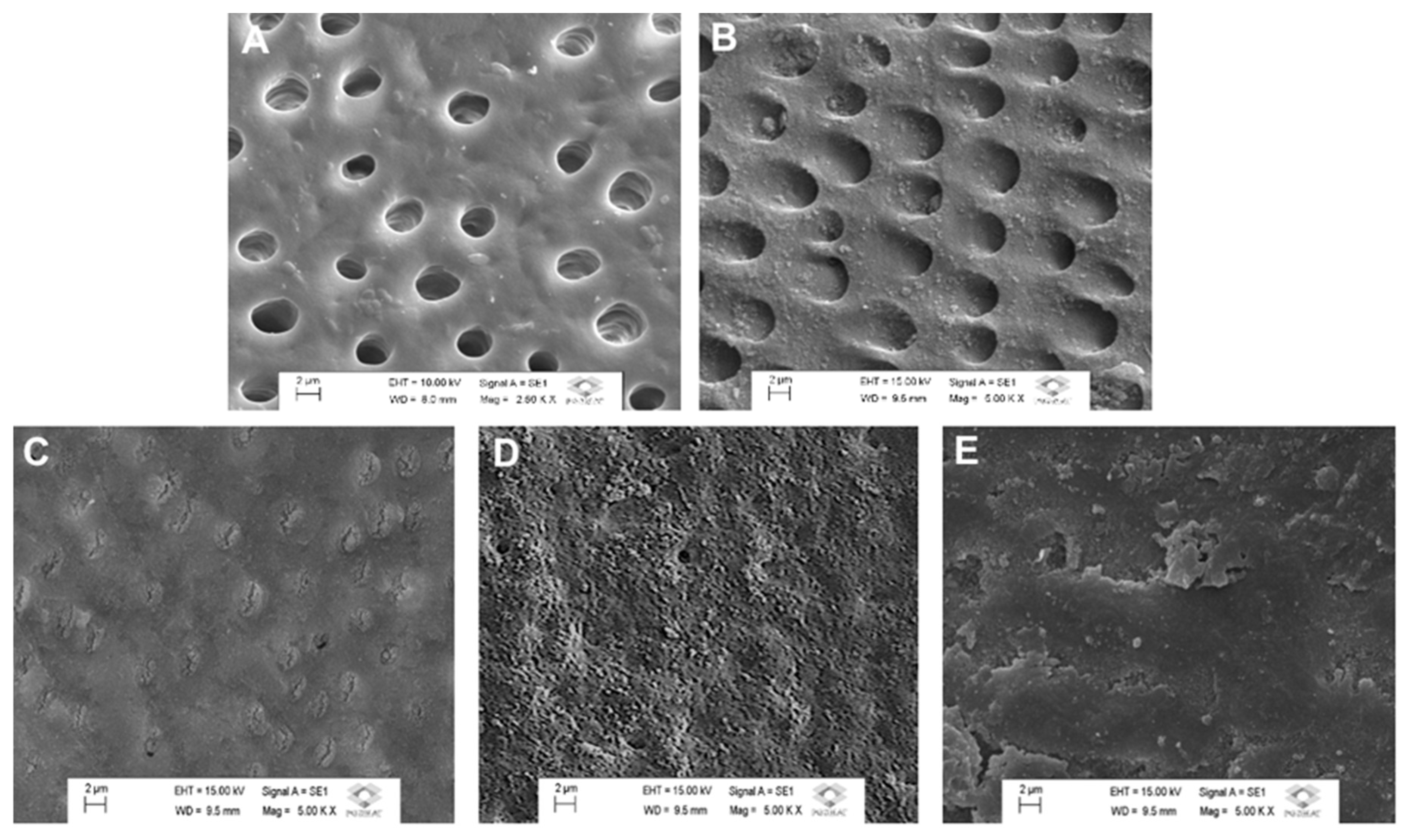 Preprints 137727 g001