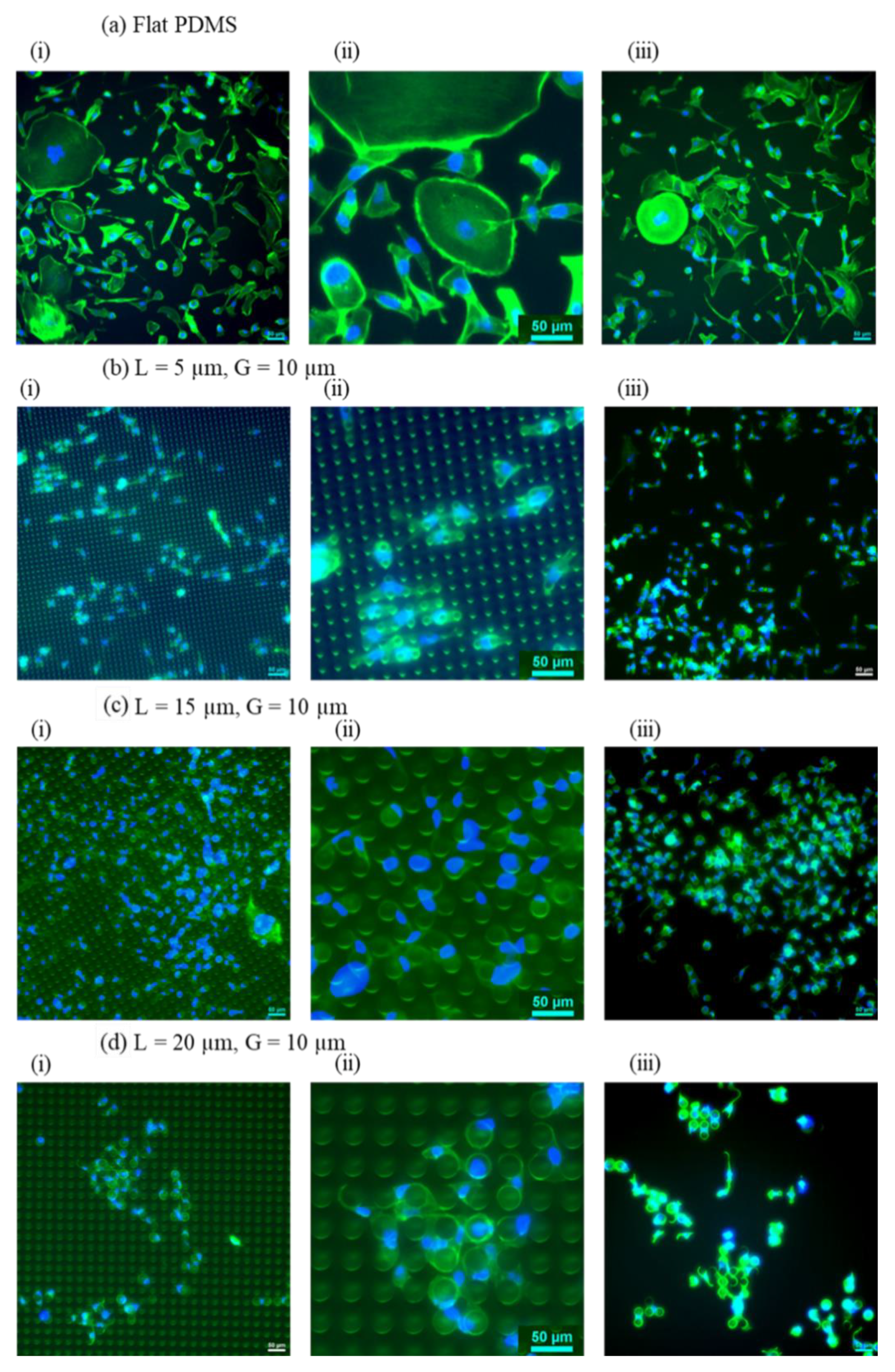 Preprints 109599 g003