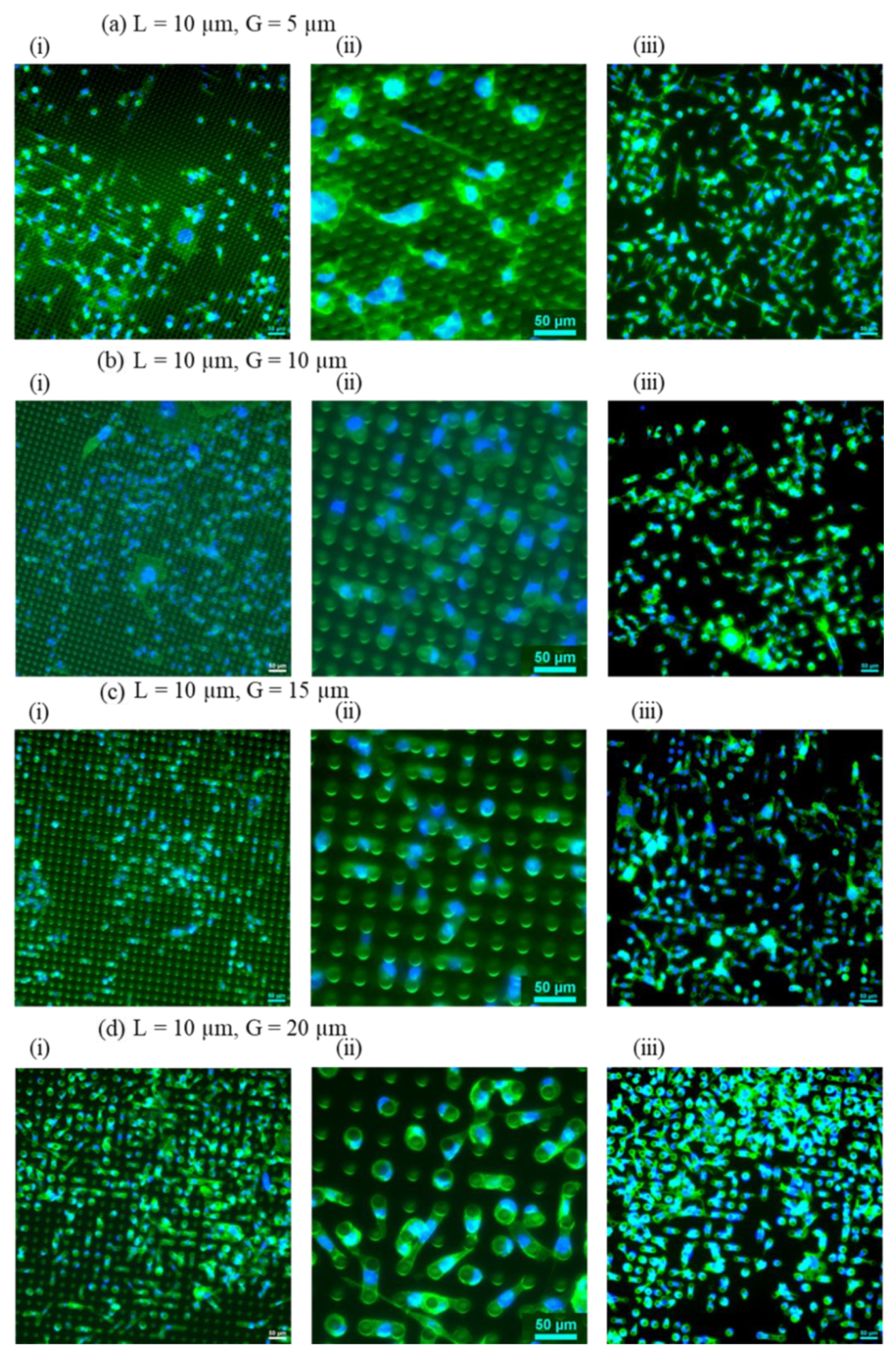 Preprints 109599 g004