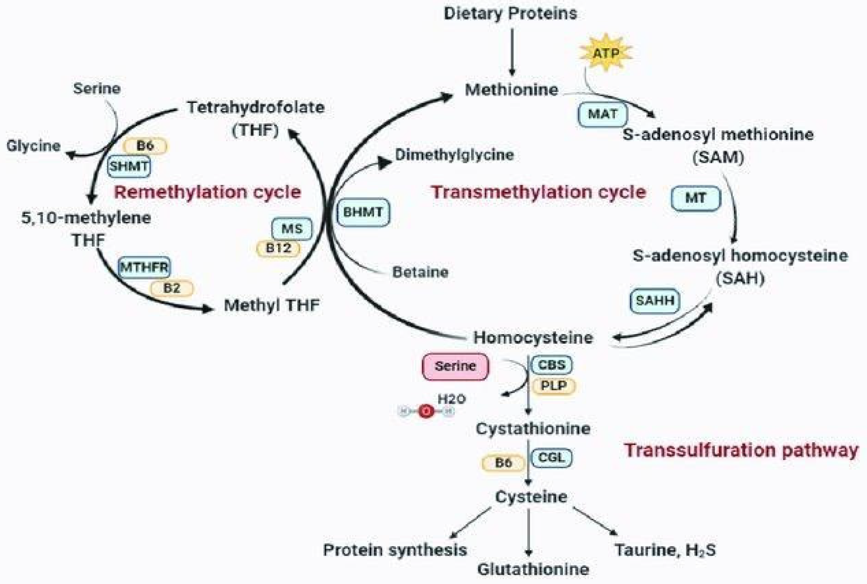 Preprints 71158 g001