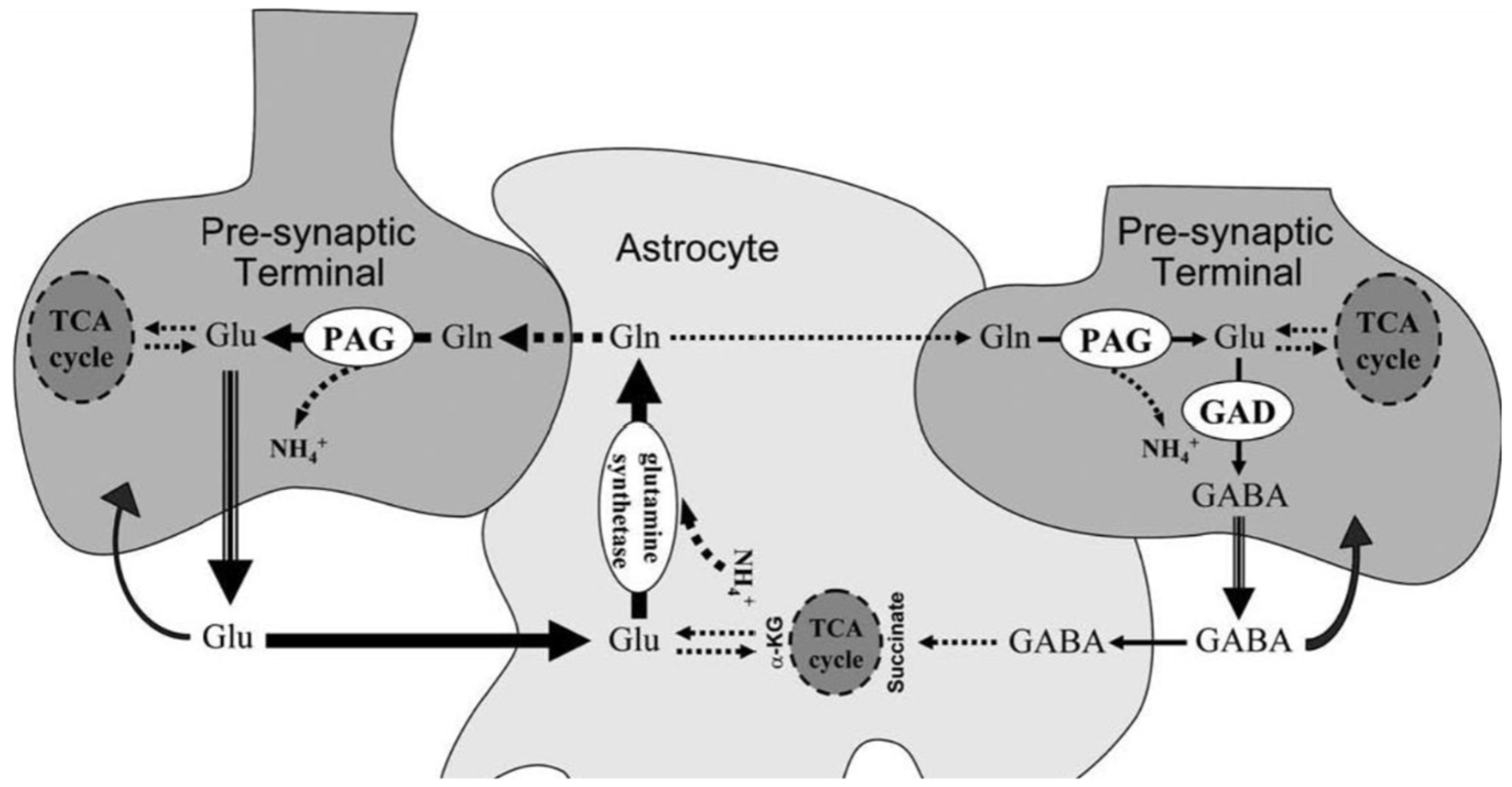 Preprints 71158 g006