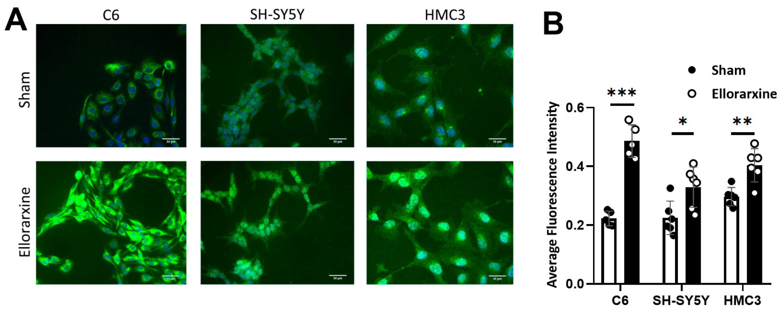 Preprints 100808 g001