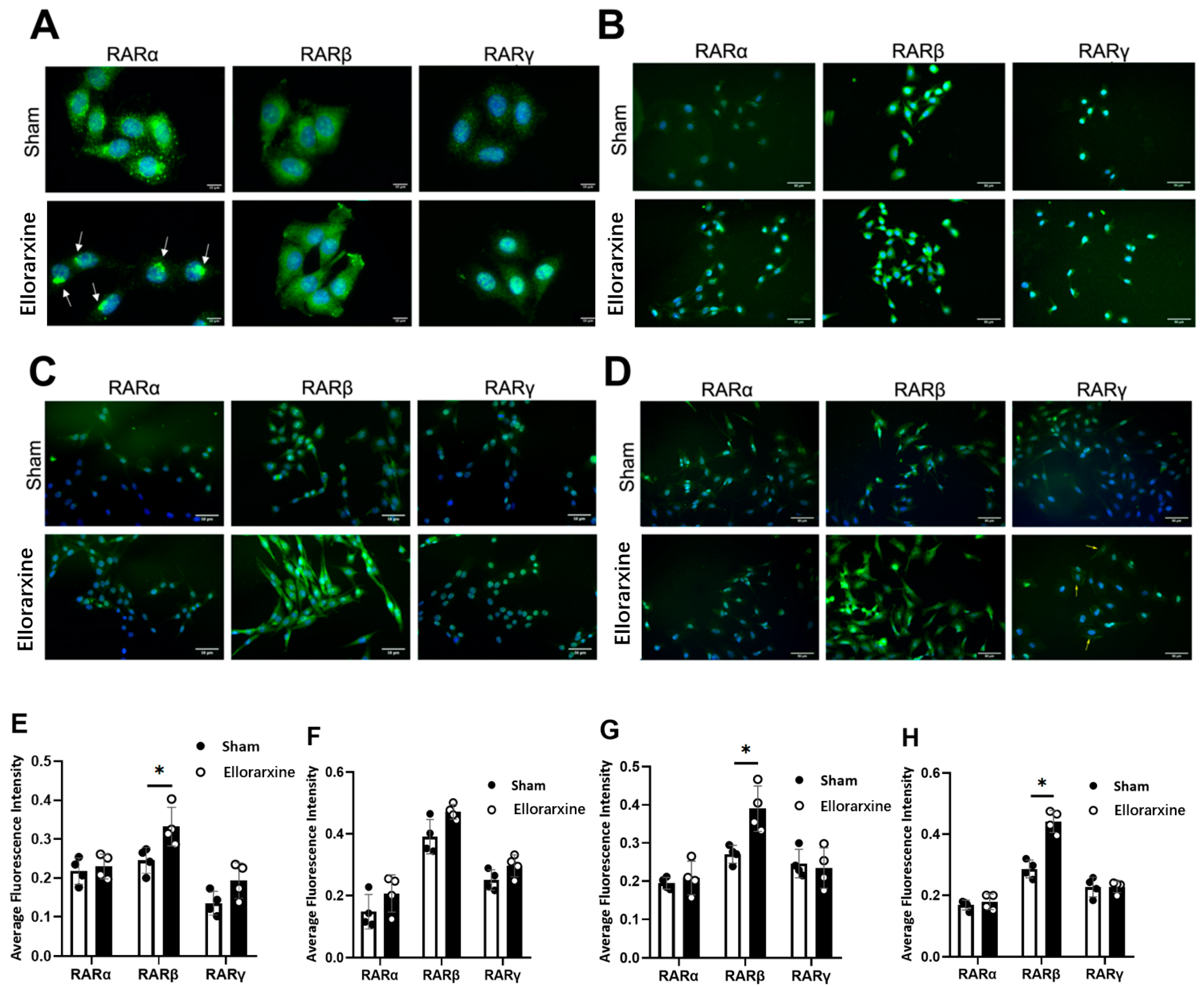 Preprints 100808 g002