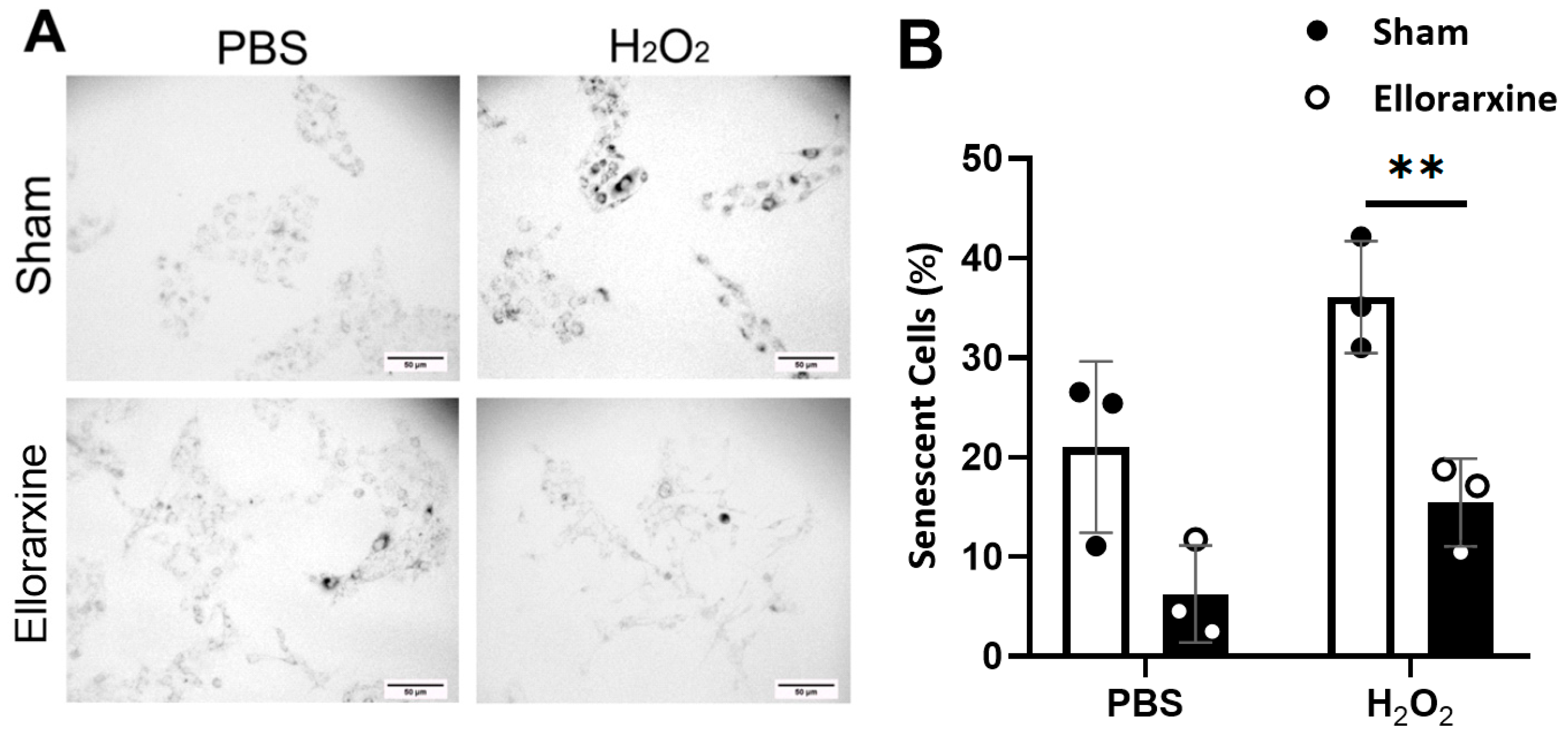 Preprints 100808 g006