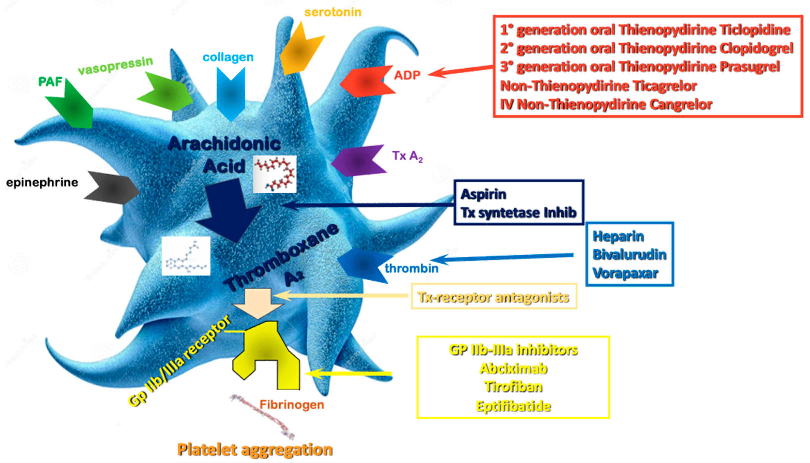 Preprints 87814 g001