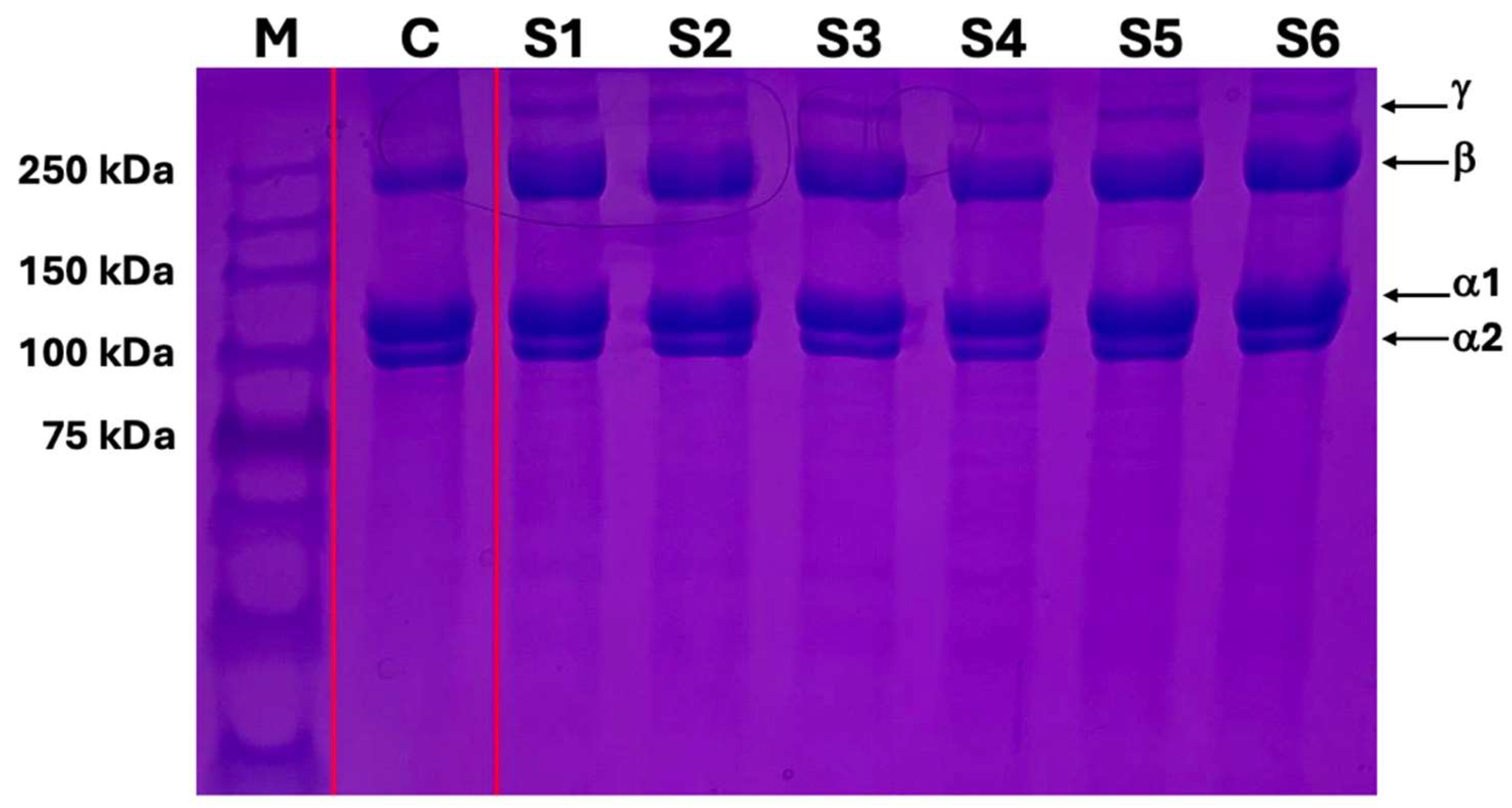 Preprints 115385 g001