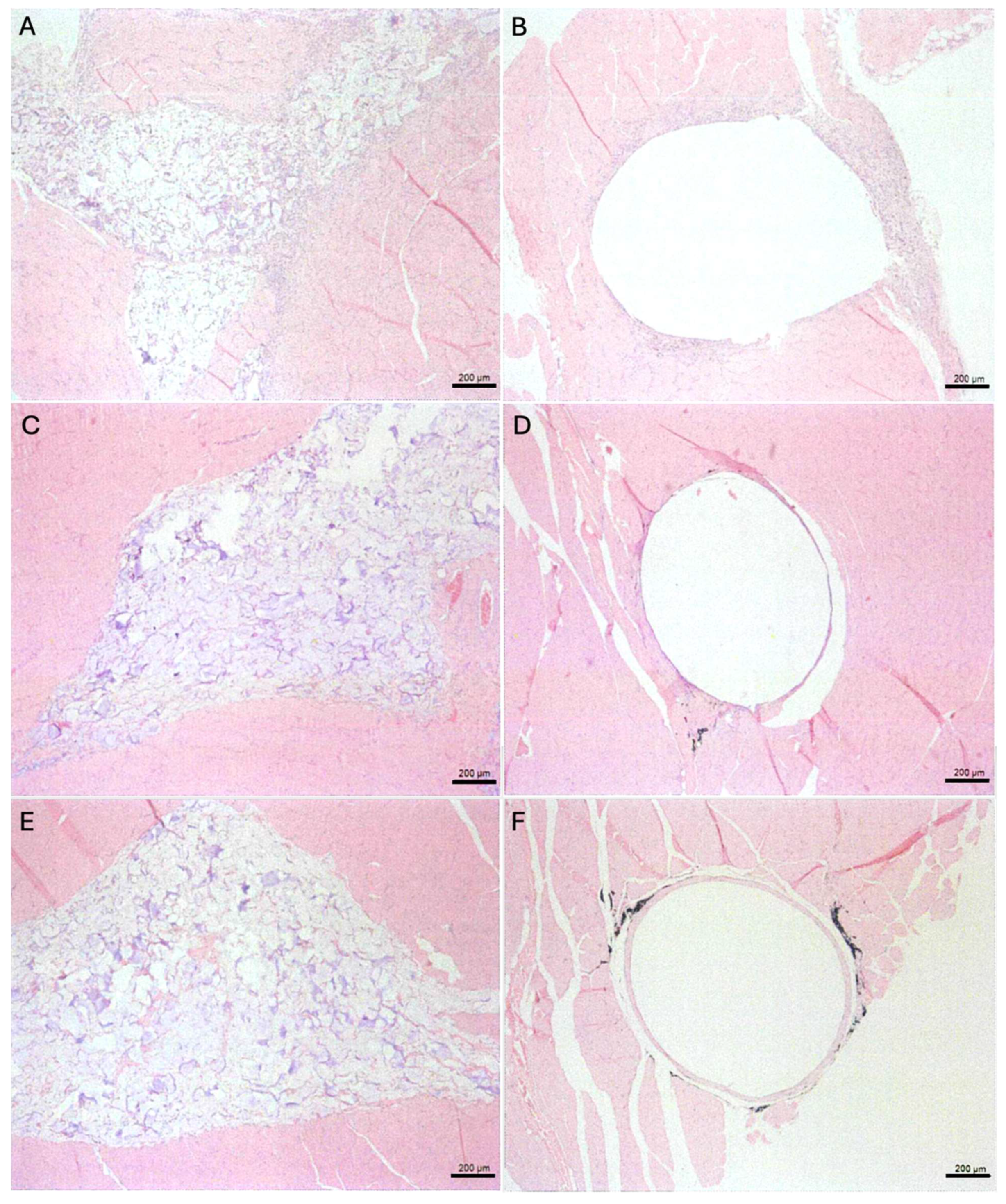 Preprints 115385 g005