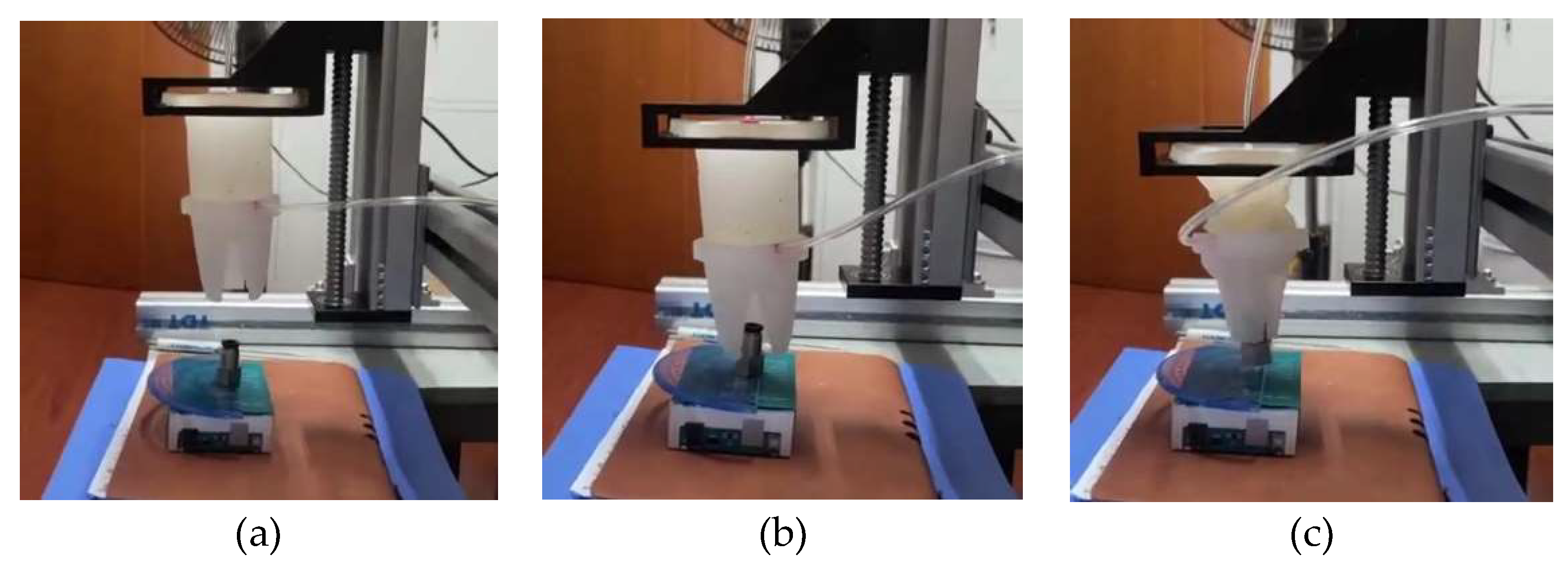 Preprints 72900 g017