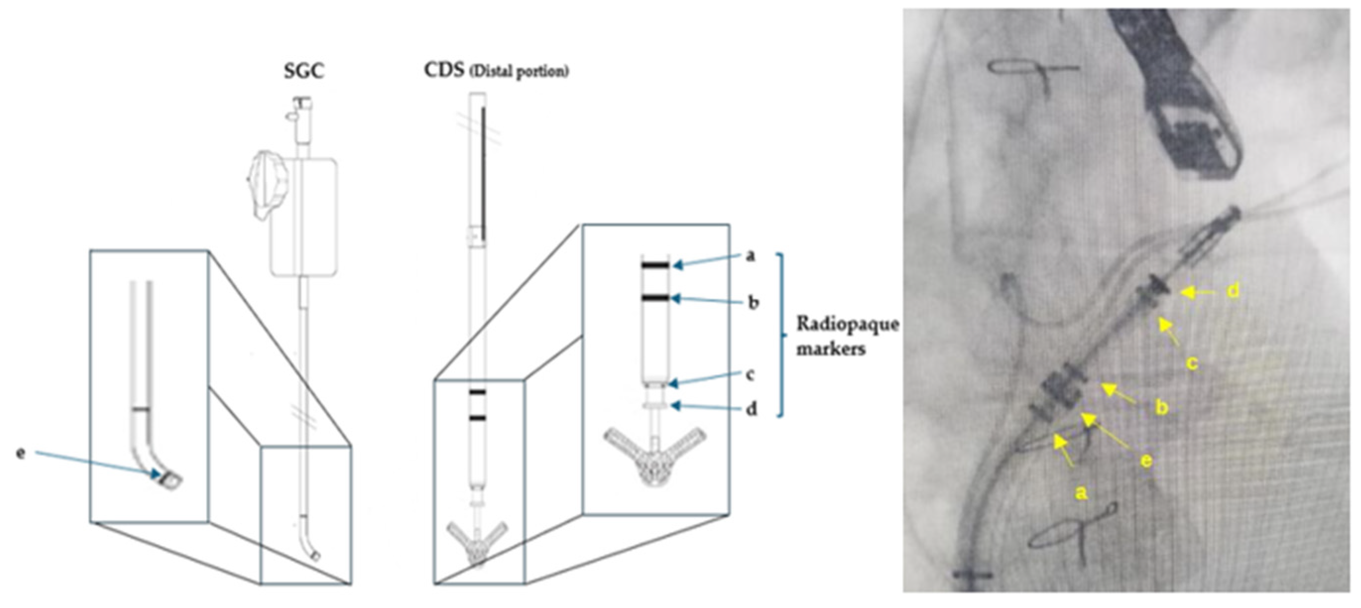 Preprints 108882 g008