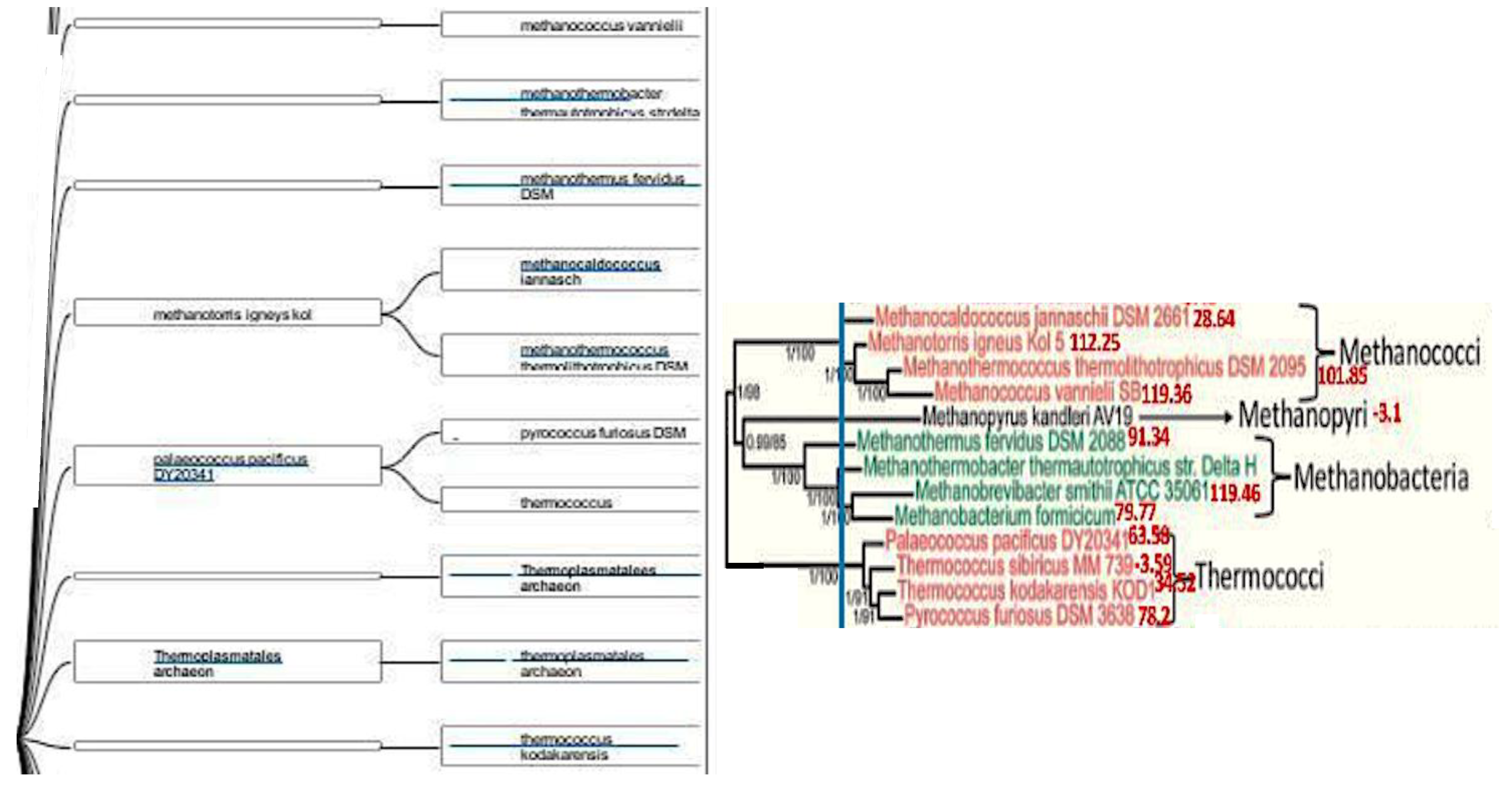 Preprints 107348 g004