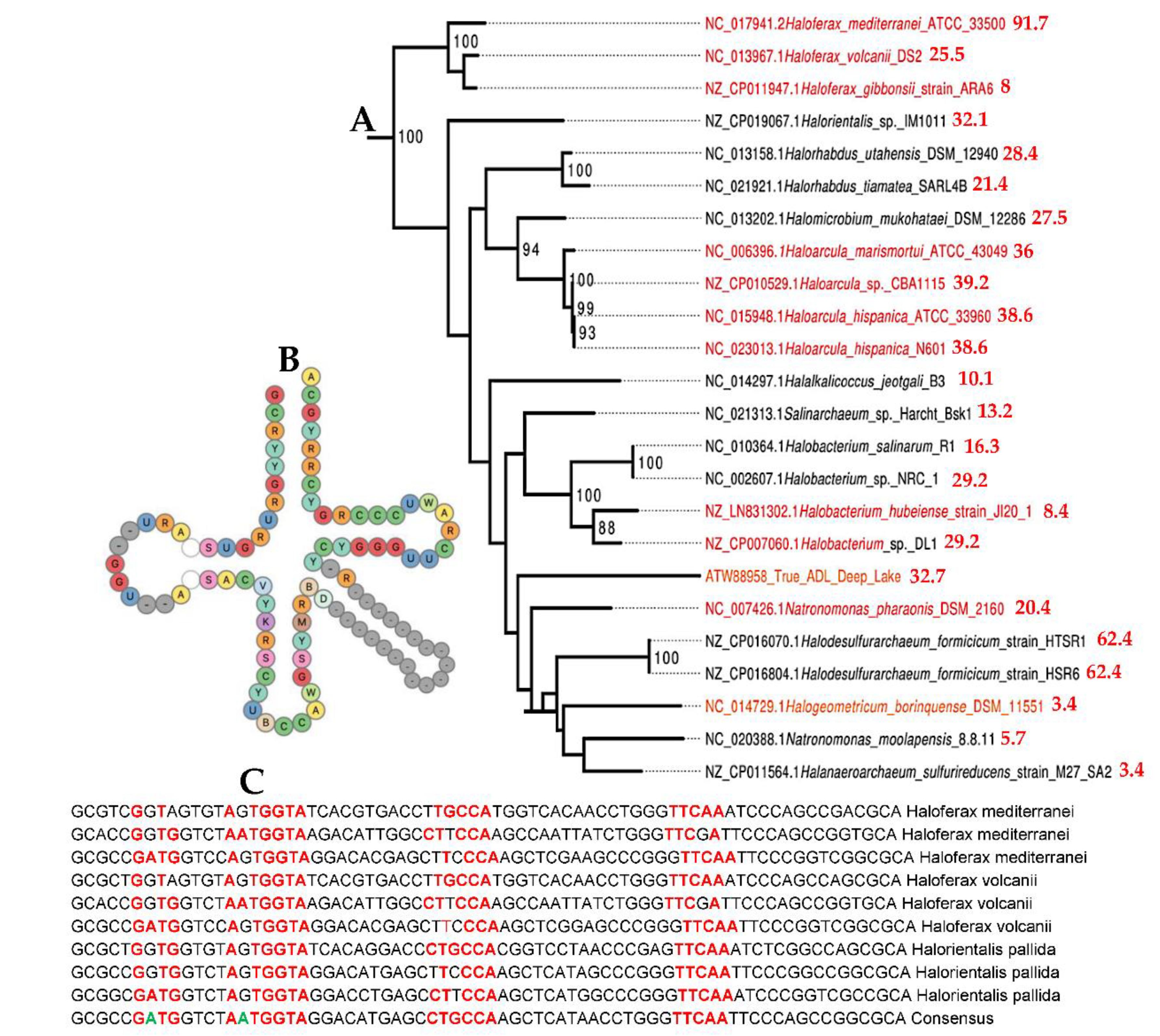 Preprints 107348 g005