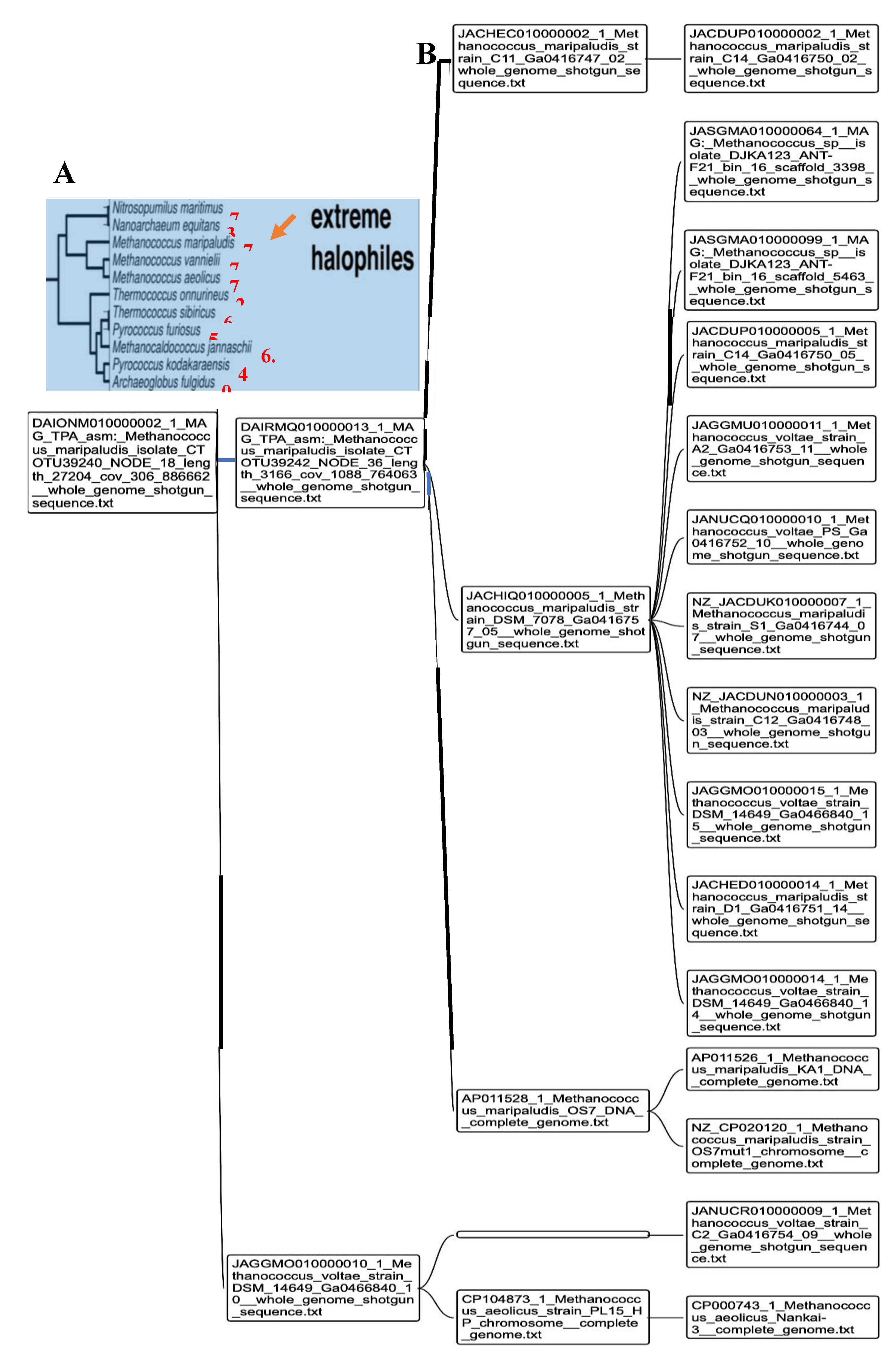 Preprints 107348 g006