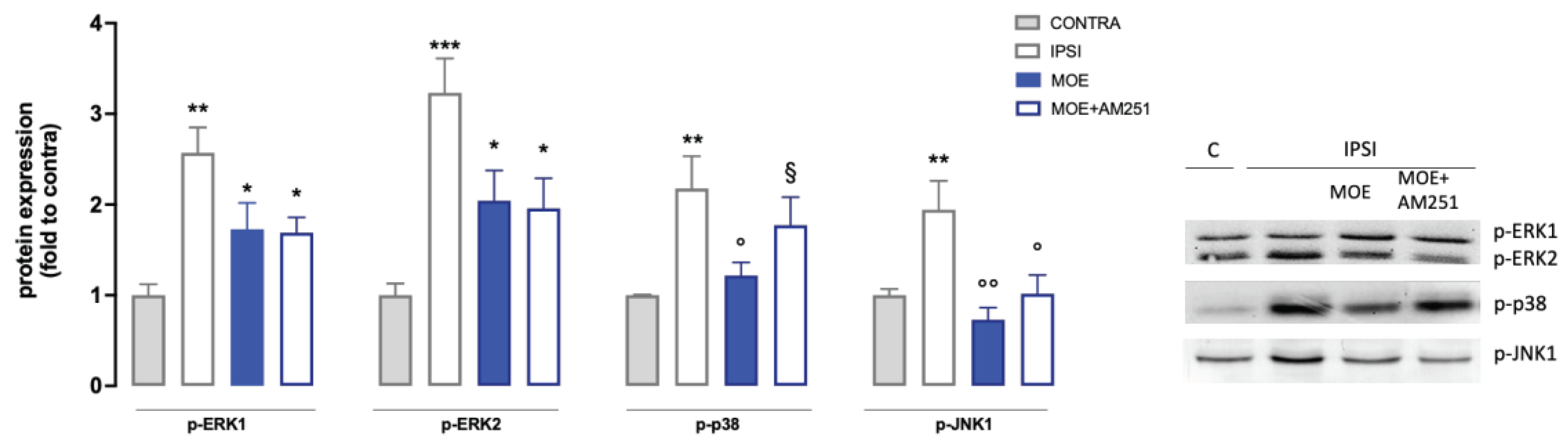 Preprints 78220 g004