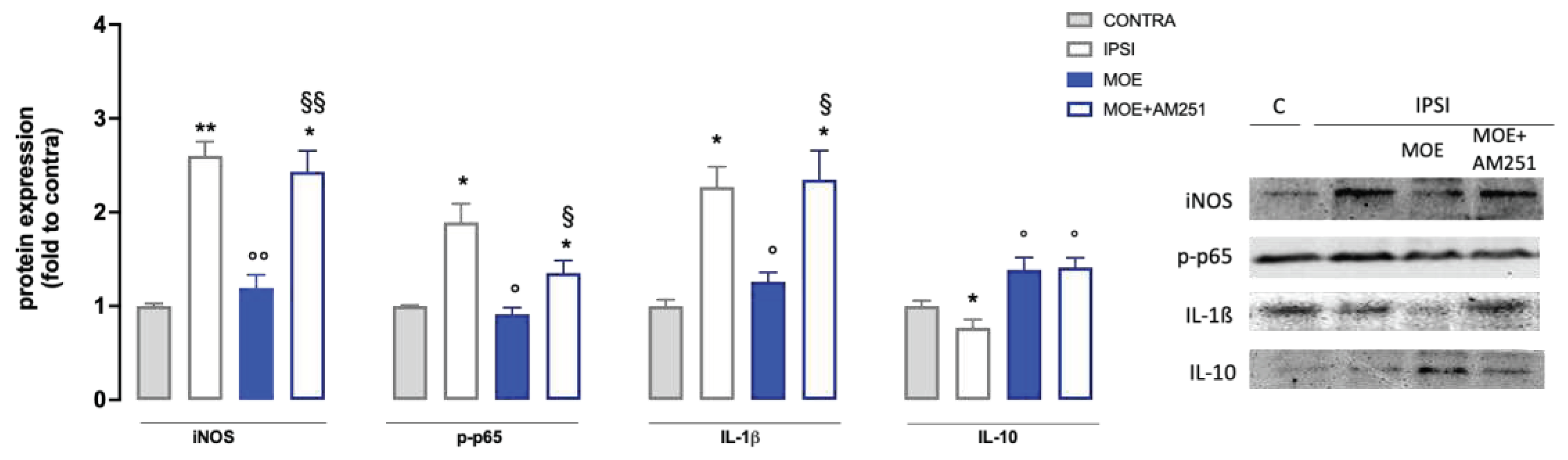 Preprints 78220 g005