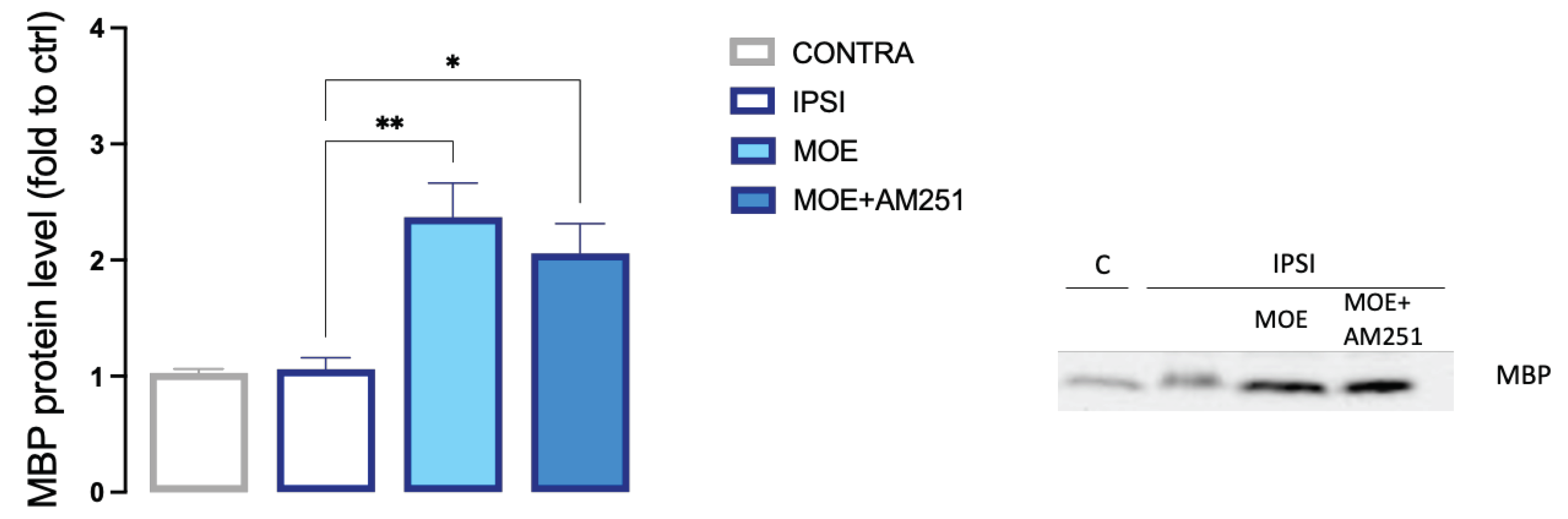 Preprints 78220 g009