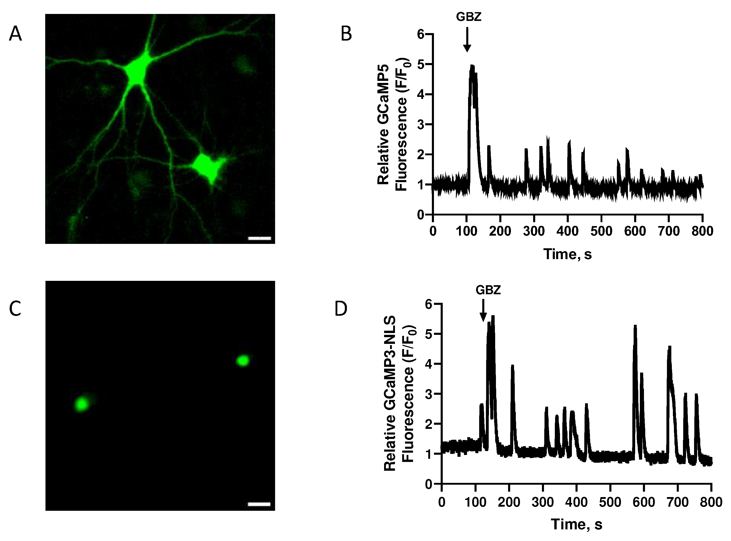 Preprints 87706 g002