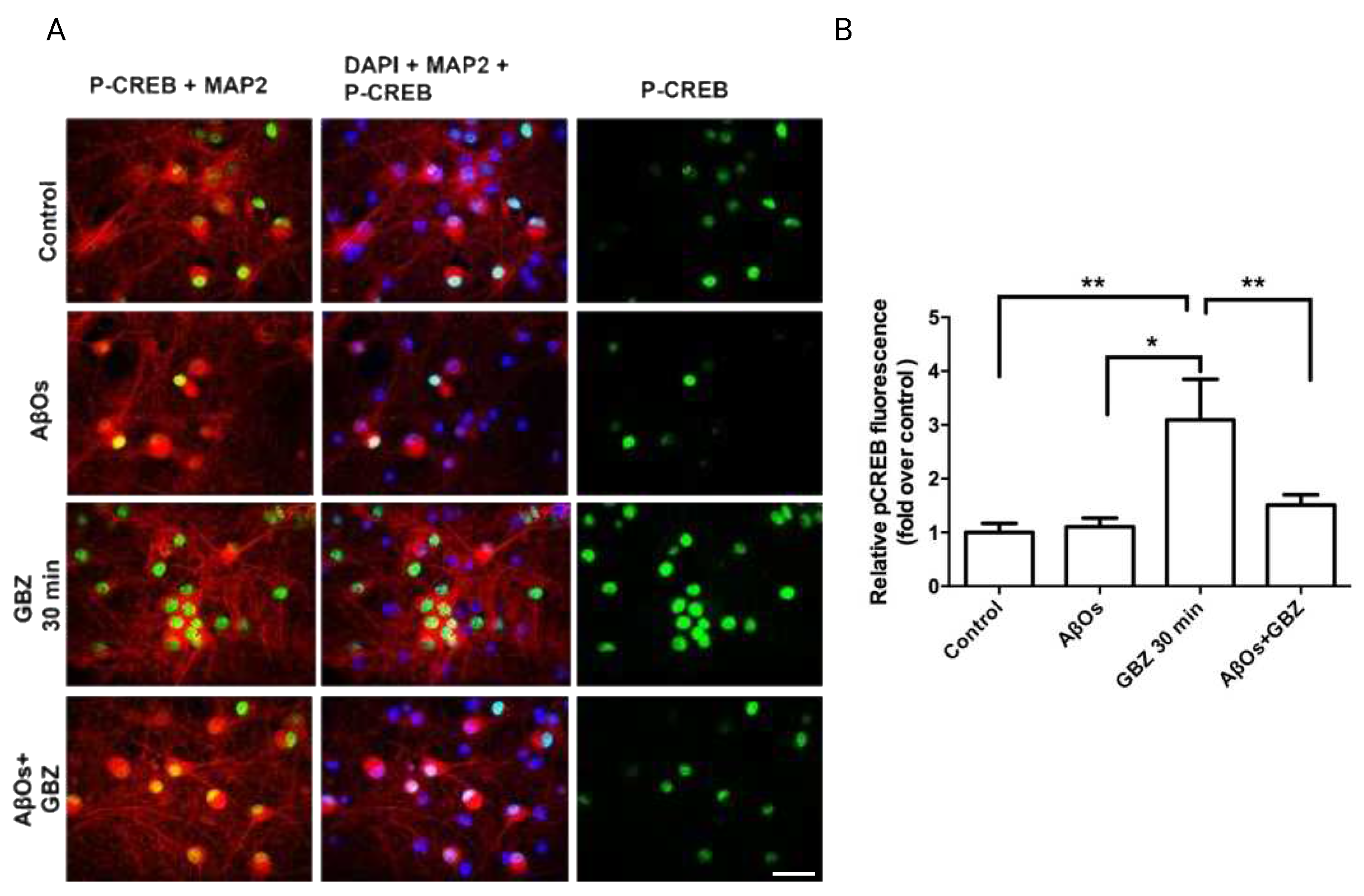 Preprints 87706 g004