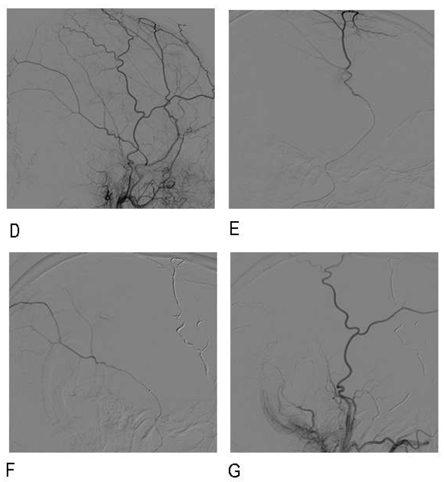 Preprints 90476 g002b