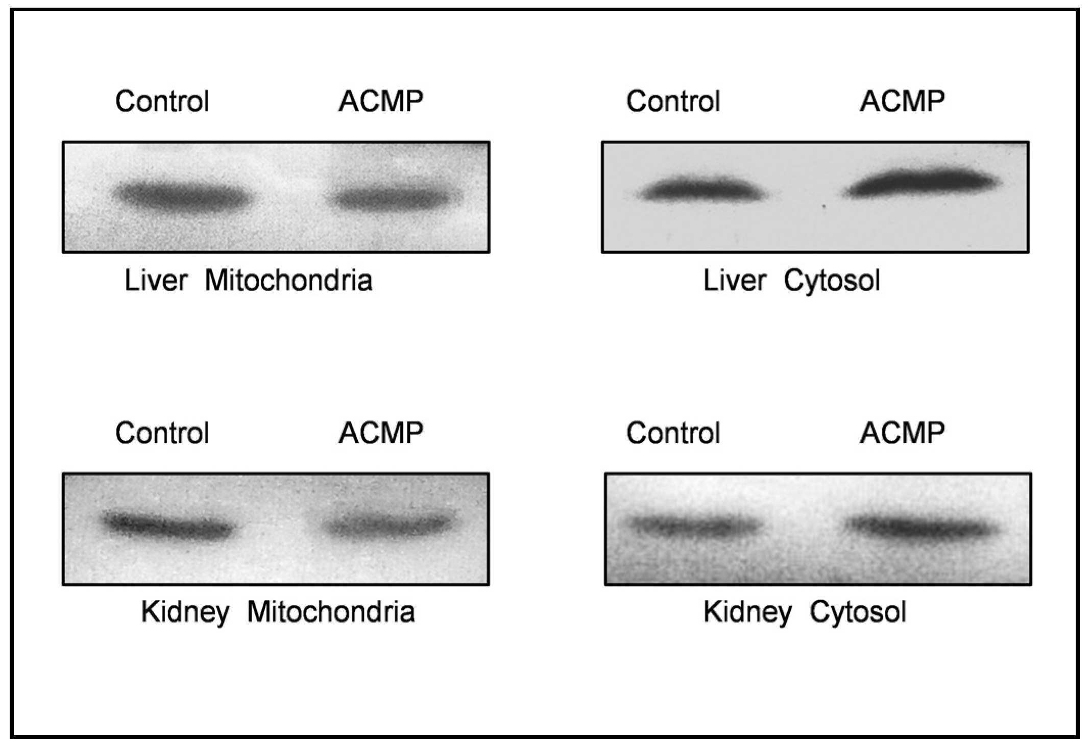 Preprints 94628 g004