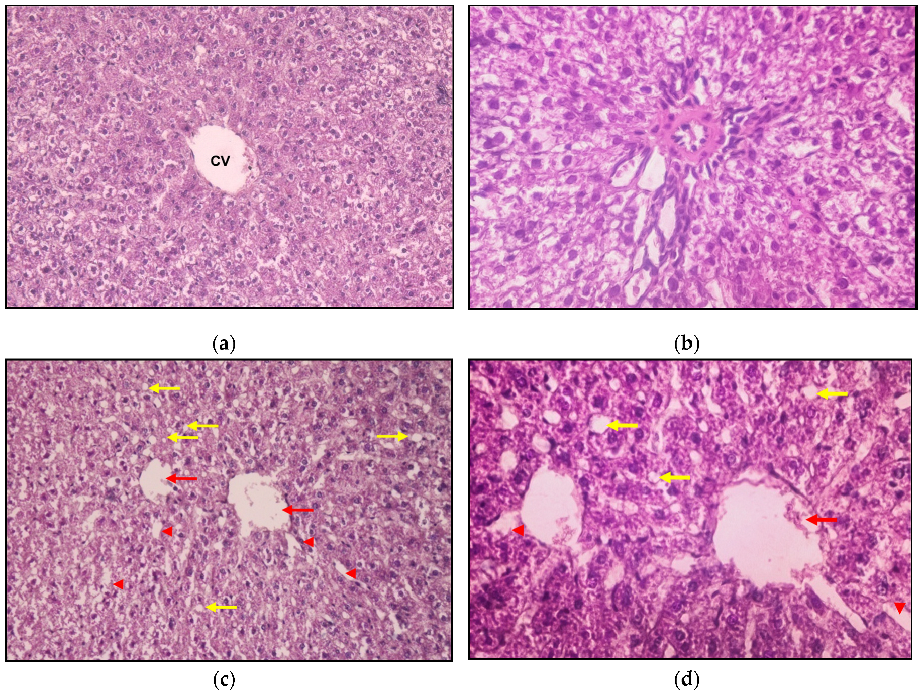 Preprints 94628 g005