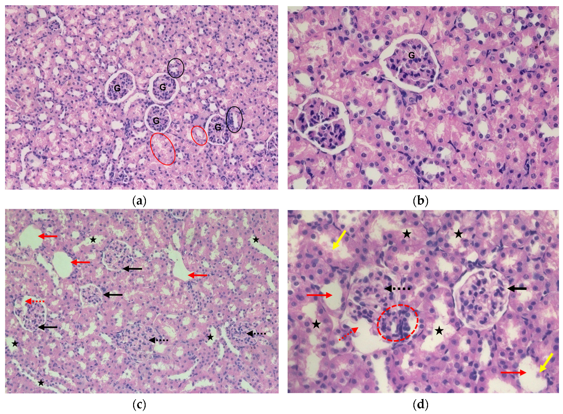 Preprints 94628 g006