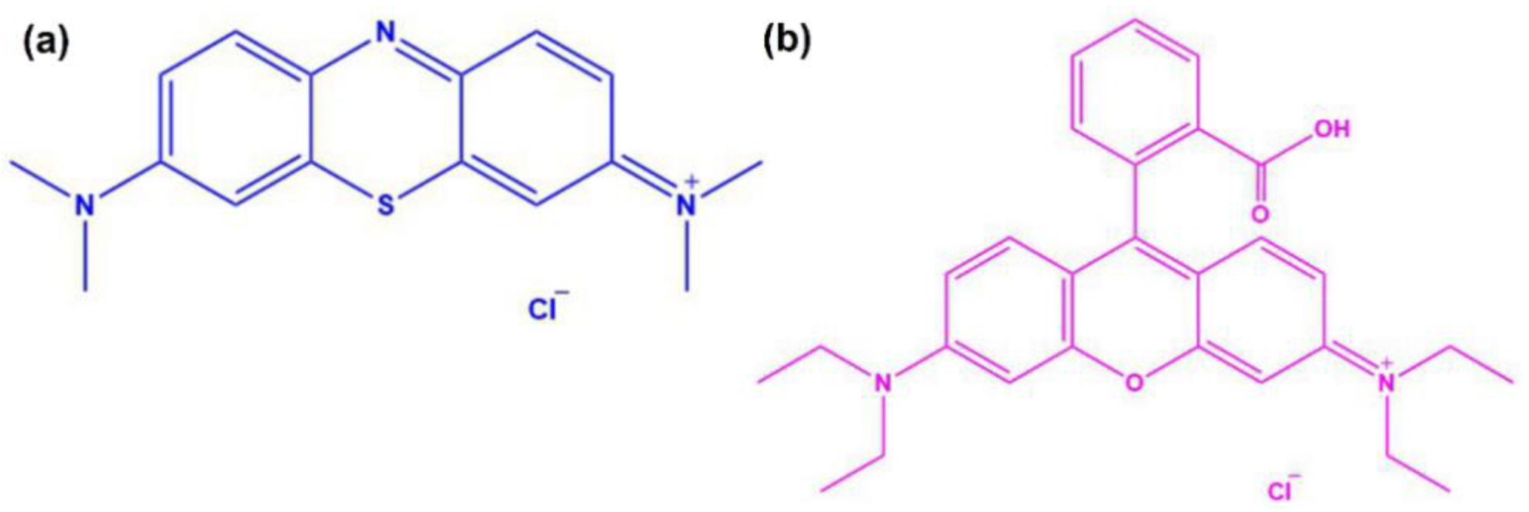 Preprints 93995 g001