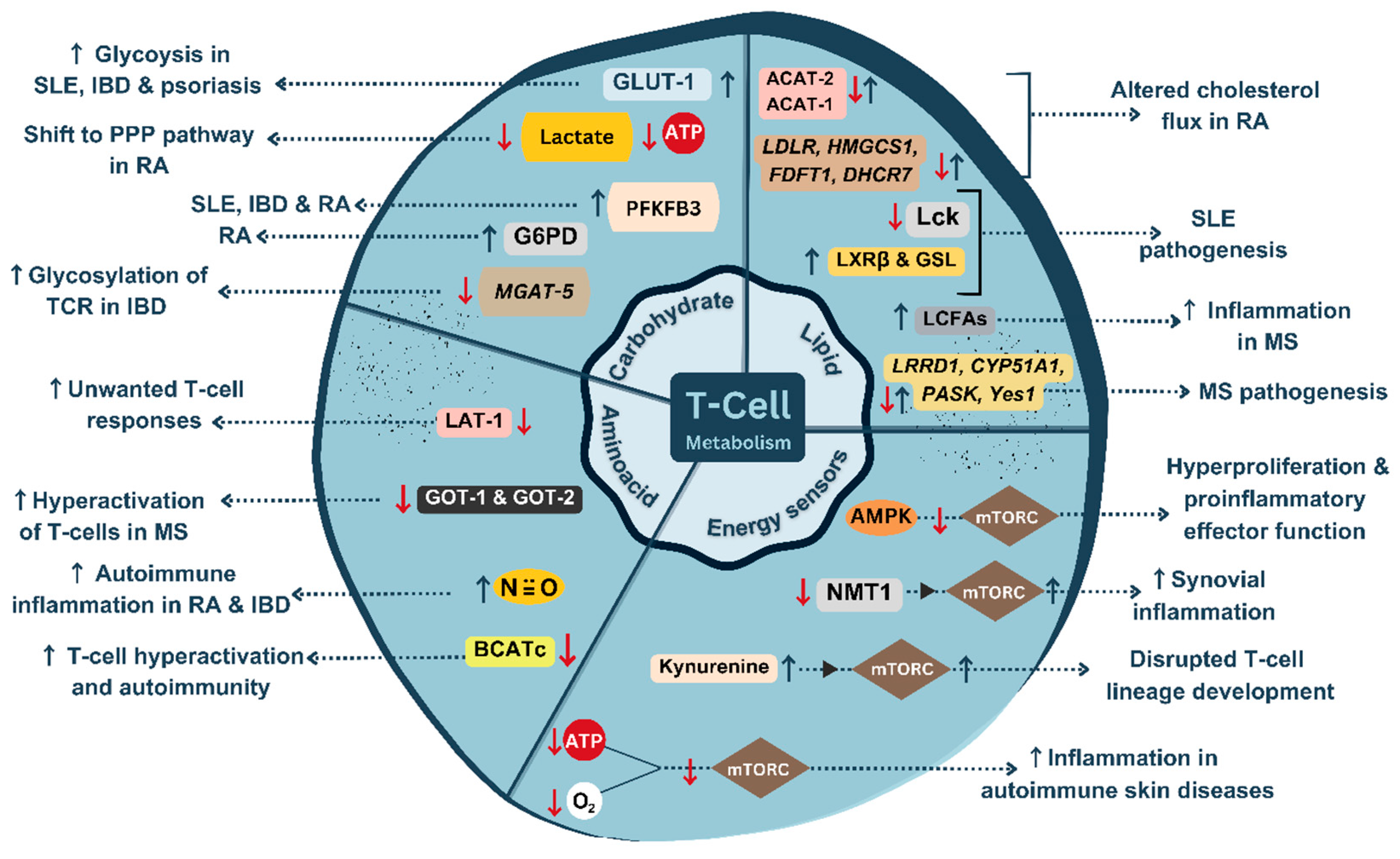 Preprints 86346 g002