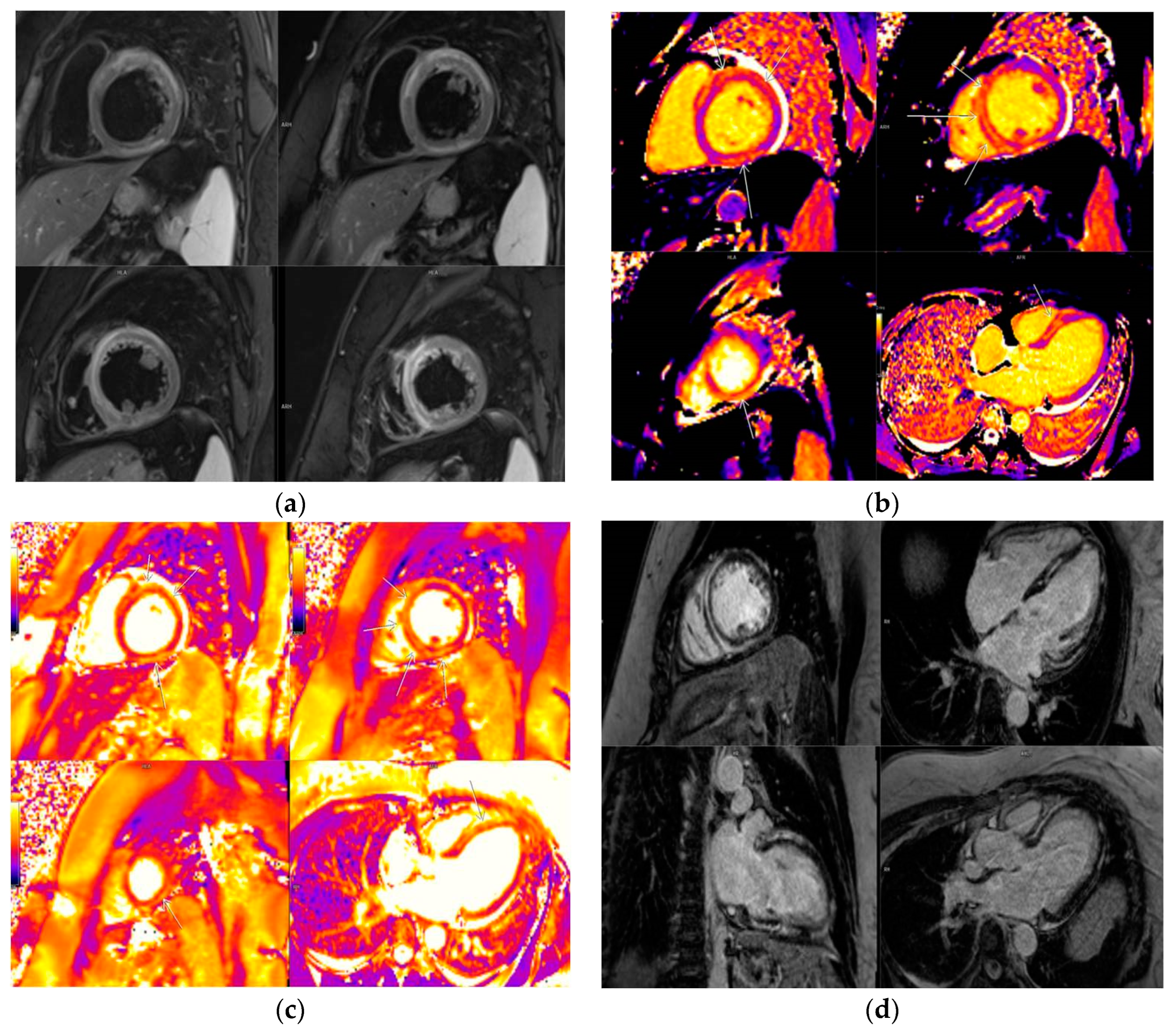 Preprints 97678 g001