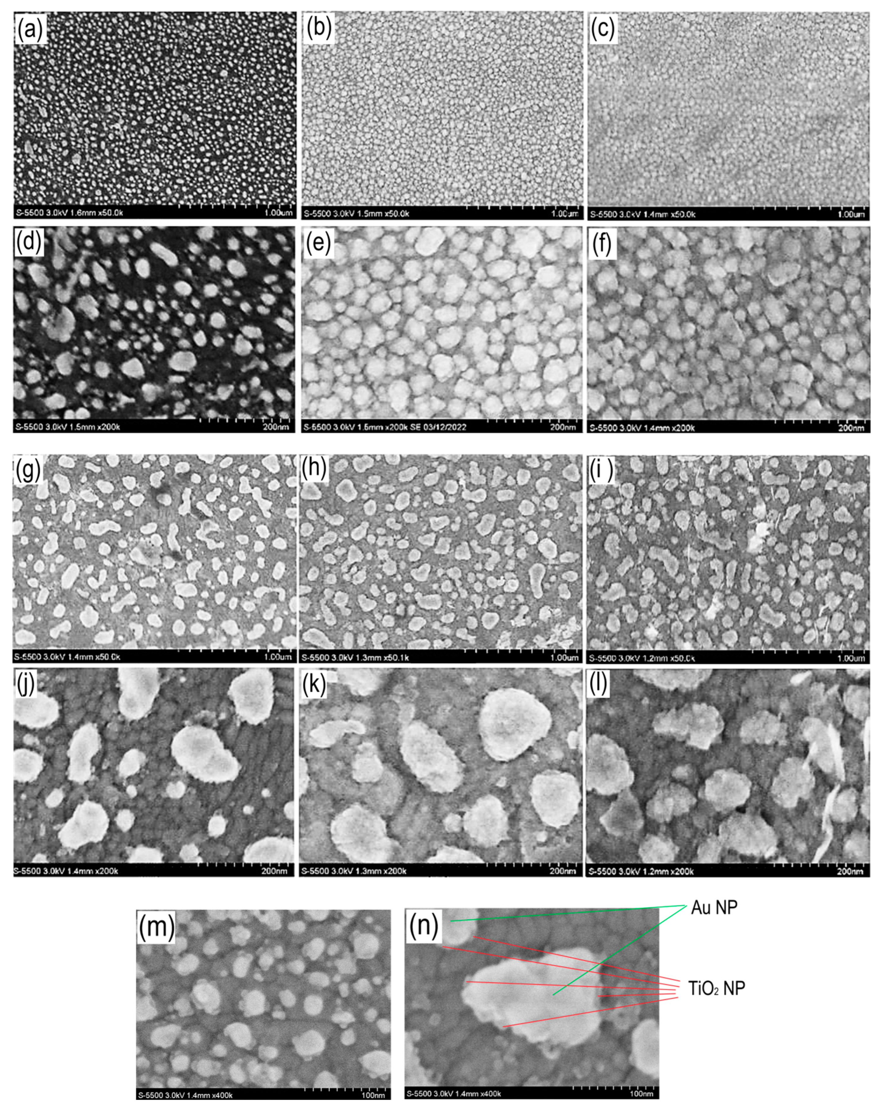 Preprints 94275 g006