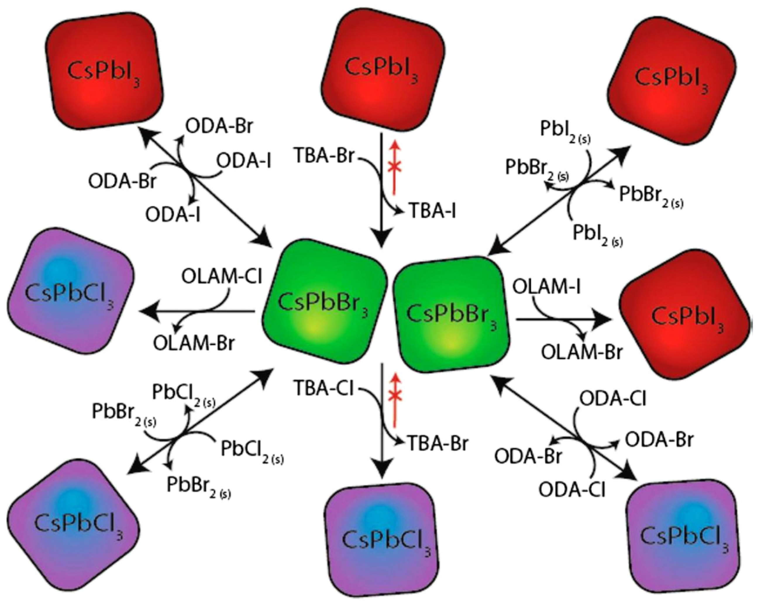 Preprints 104927 g007