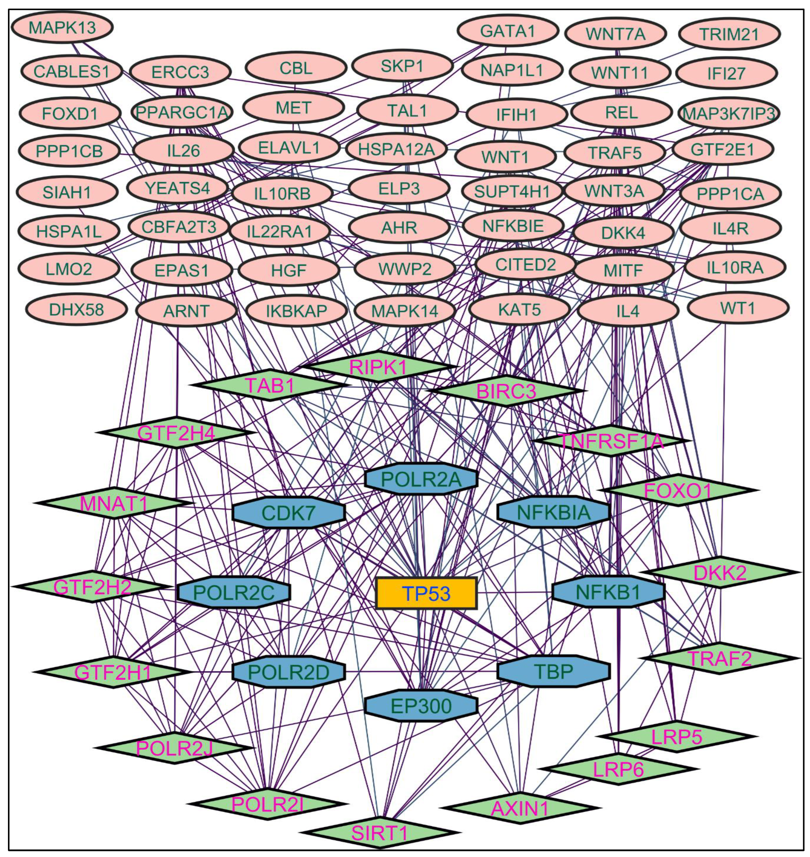 Preprints 86638 g003