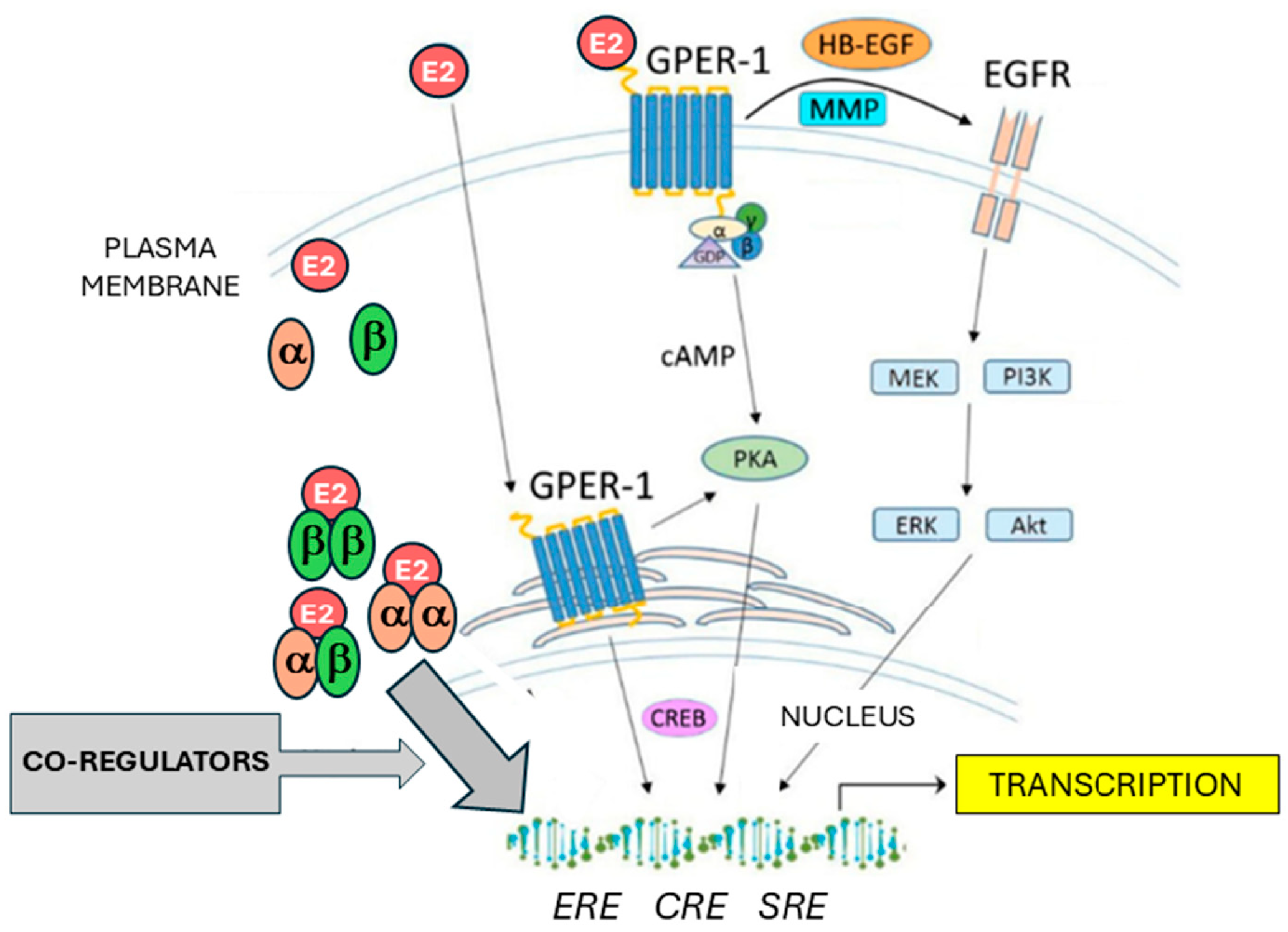 Preprints 141257 g001