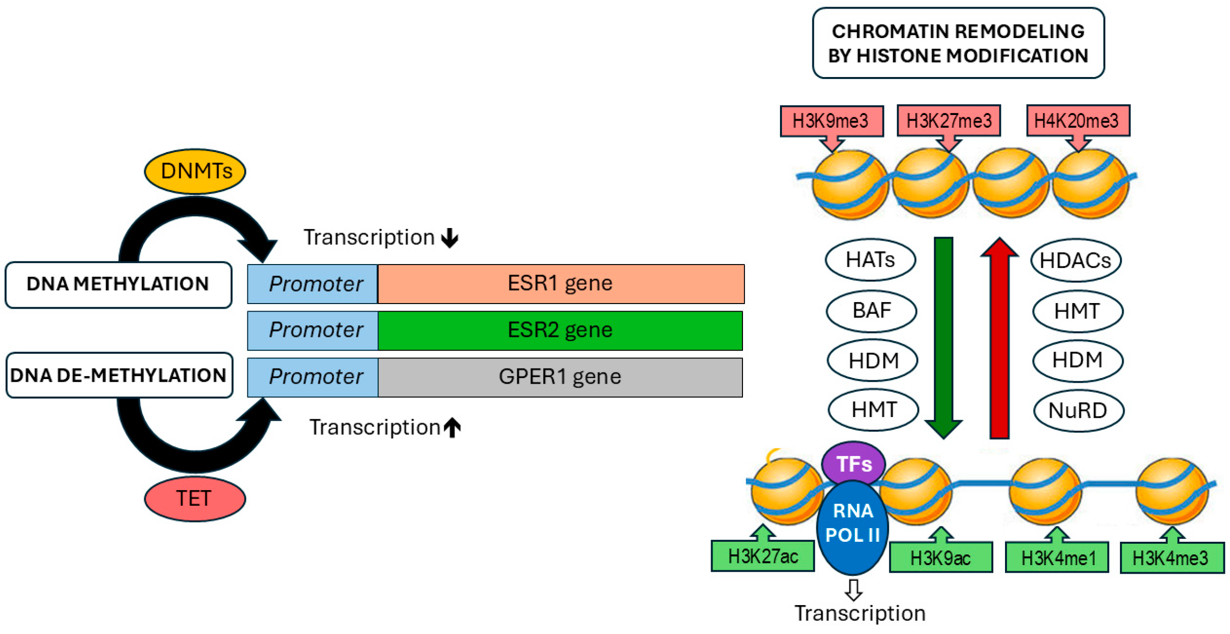 Preprints 141257 g002