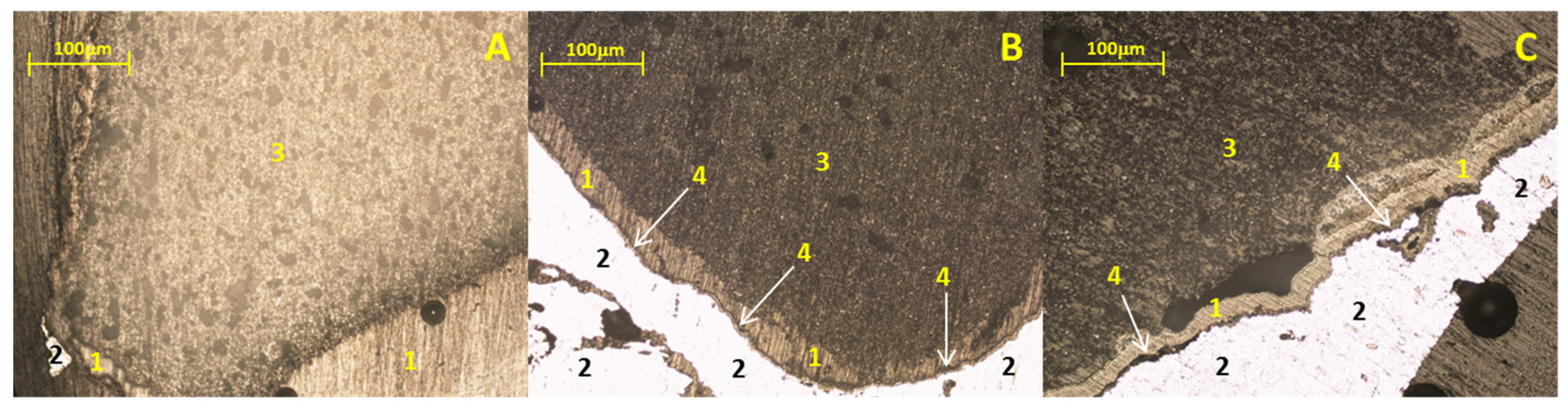 Preprints 91628 g006