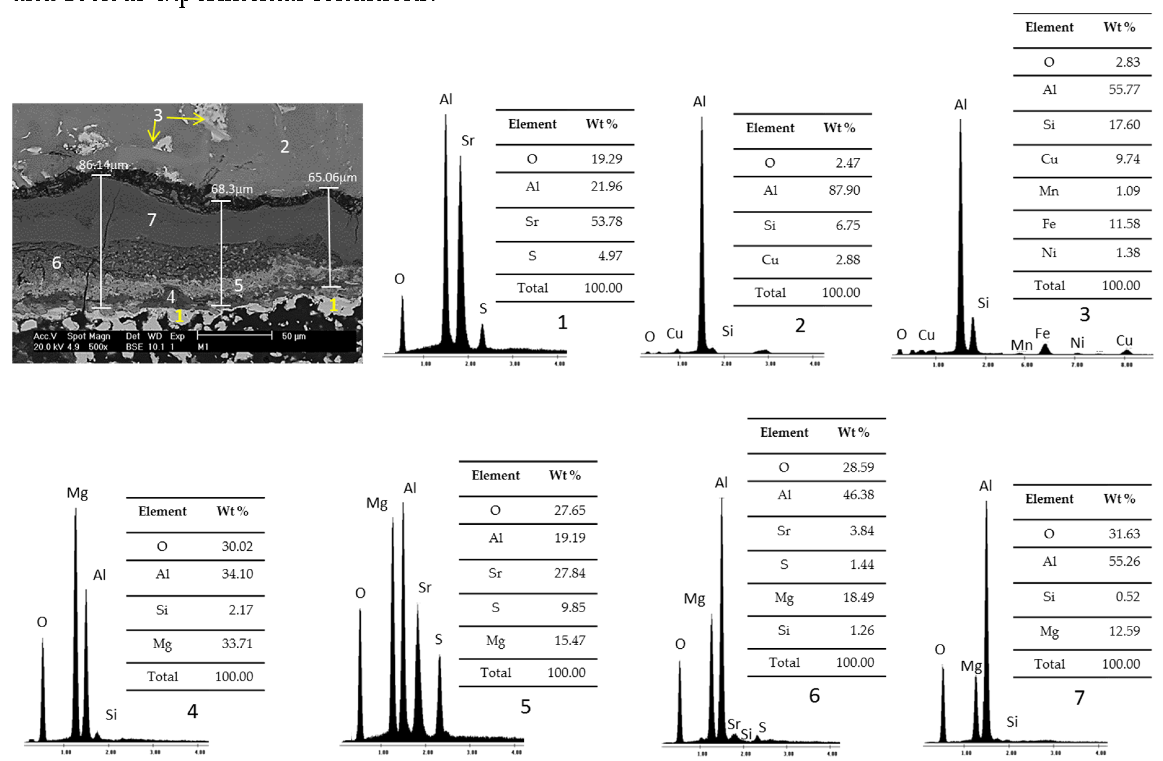 Preprints 91628 g007