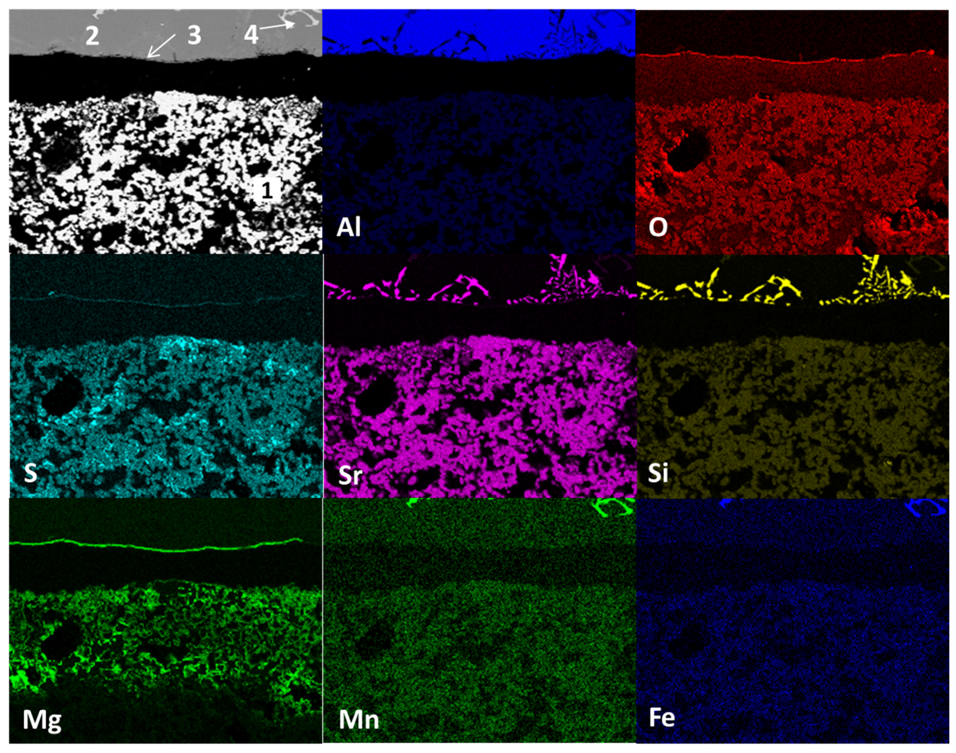 Preprints 91628 g012