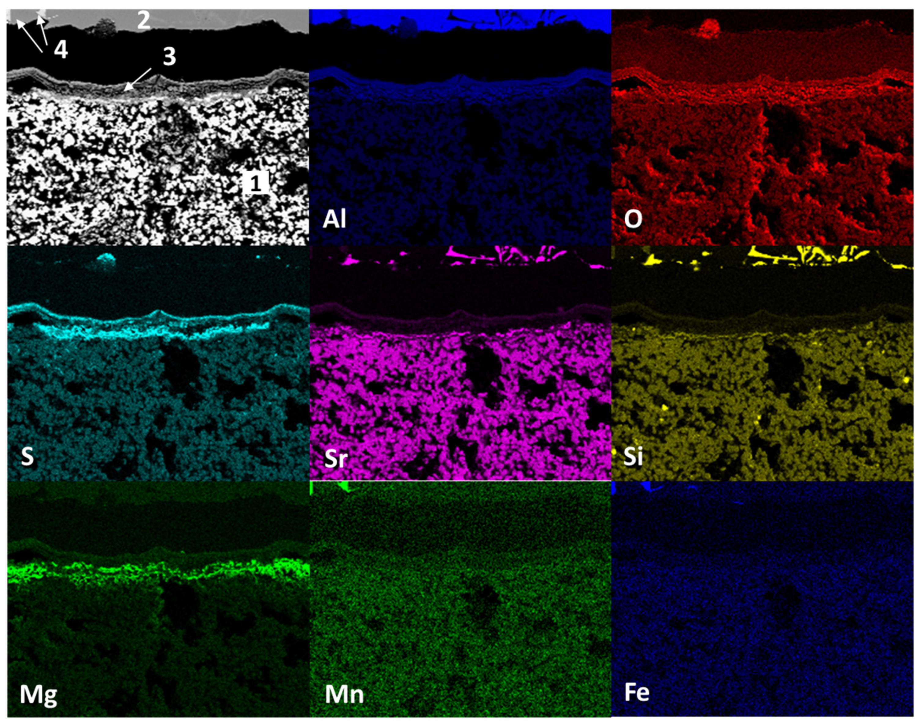 Preprints 91628 g014