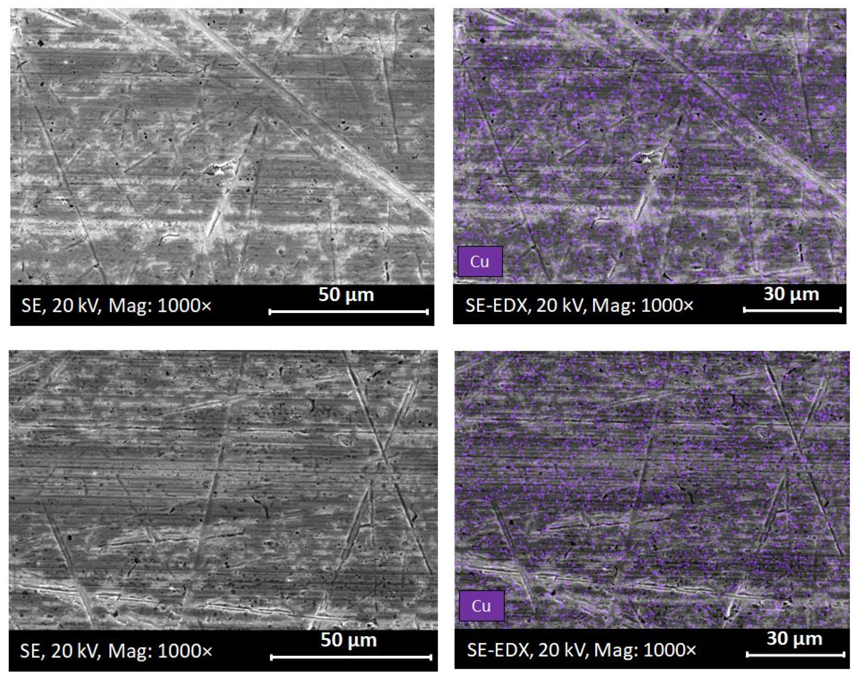 Preprints 79049 g006